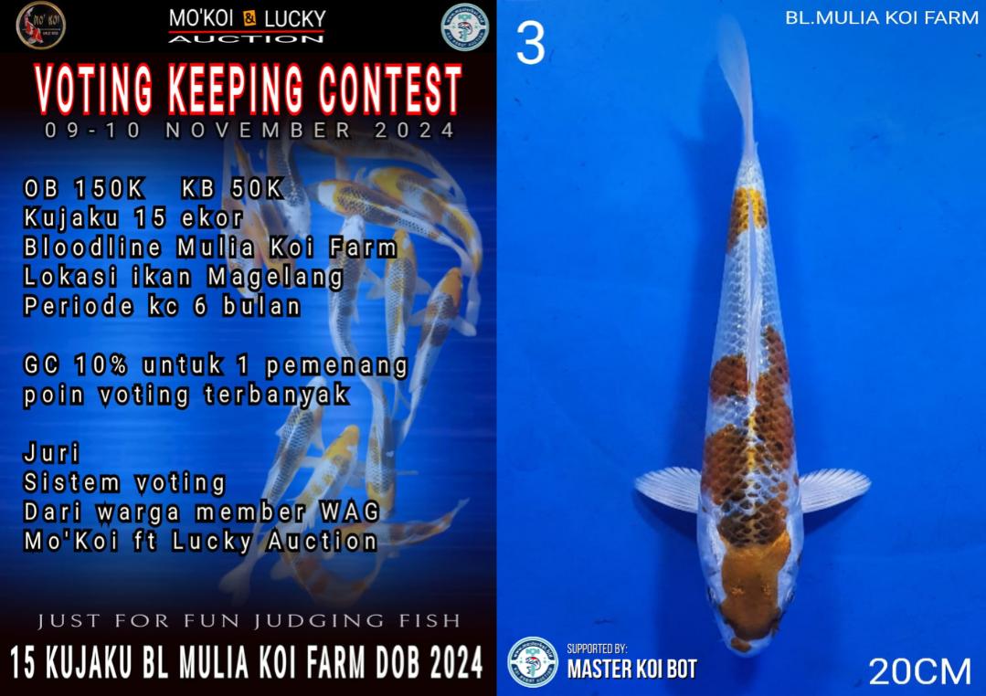 Lelang Koi Online, Jual Beli Ikan Koi, Pusat Jual Beli Koi, Info Lelang Koi Hari Ini, Platform Jual Beli Koi, Jual Beli Ikan Koi Online, Marketplace Ikan Koi, Jual Koi Terbaik, Tempat Beli Koi Berkualitas, Pasar Ikan Koi Online Terpercaya, Penjual Ikan Koi Terpercaya, Beli Koi Hias Online, Ikan Koi untuk Dijual, Koi Kualitas Terbaik, Toko Online Ikan Koi, Koi Hias Untuk Dijual, Jual Beli Ikan Koi Lokal, Koi Indonesia Online, Pusat Jual Beli Koi Terbesar