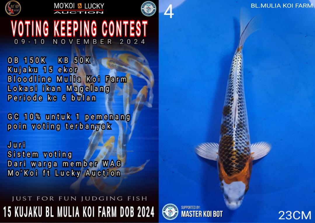 Lelang Koi Online, Jual Beli Ikan Koi, Pusat Jual Beli Koi, Info Lelang Koi Hari Ini, Platform Jual Beli Koi, Jual Beli Ikan Koi Online, Marketplace Ikan Koi, Jual Koi Terbaik, Tempat Beli Koi Berkualitas, Pasar Ikan Koi Online Terpercaya, Penjual Ikan Koi Terpercaya, Beli Koi Hias Online, Ikan Koi untuk Dijual, Koi Kualitas Terbaik, Toko Online Ikan Koi, Koi Hias Untuk Dijual, Jual Beli Ikan Koi Lokal, Koi Indonesia Online, Pusat Jual Beli Koi Terbesar