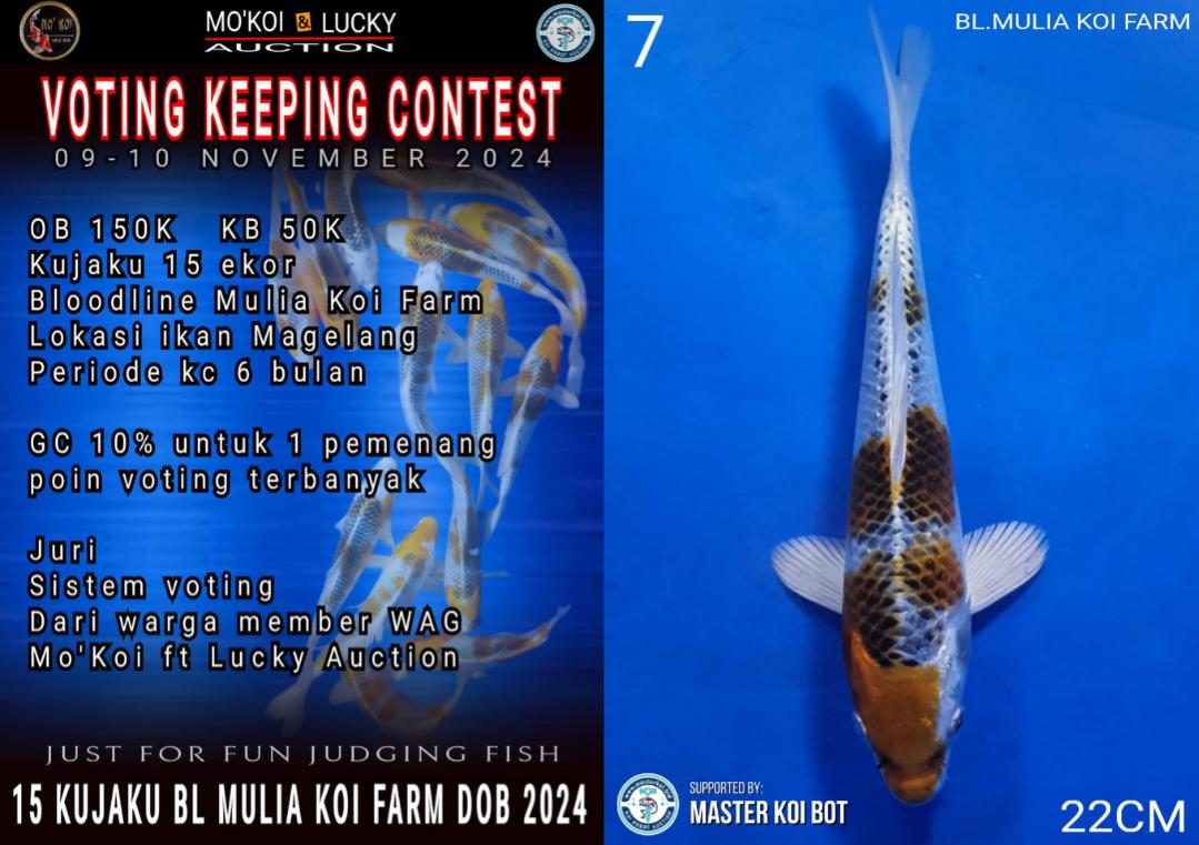 Lelang Koi Online, Jual Beli Ikan Koi, Pusat Jual Beli Koi, Info Lelang Koi Hari Ini, Platform Jual Beli Koi, Jual Beli Ikan Koi Online, Marketplace Ikan Koi, Jual Koi Terbaik, Tempat Beli Koi Berkualitas, Pasar Ikan Koi Online Terpercaya, Penjual Ikan Koi Terpercaya, Beli Koi Hias Online, Ikan Koi untuk Dijual, Koi Kualitas Terbaik, Toko Online Ikan Koi, Koi Hias Untuk Dijual, Jual Beli Ikan Koi Lokal, Koi Indonesia Online, Pusat Jual Beli Koi Terbesar