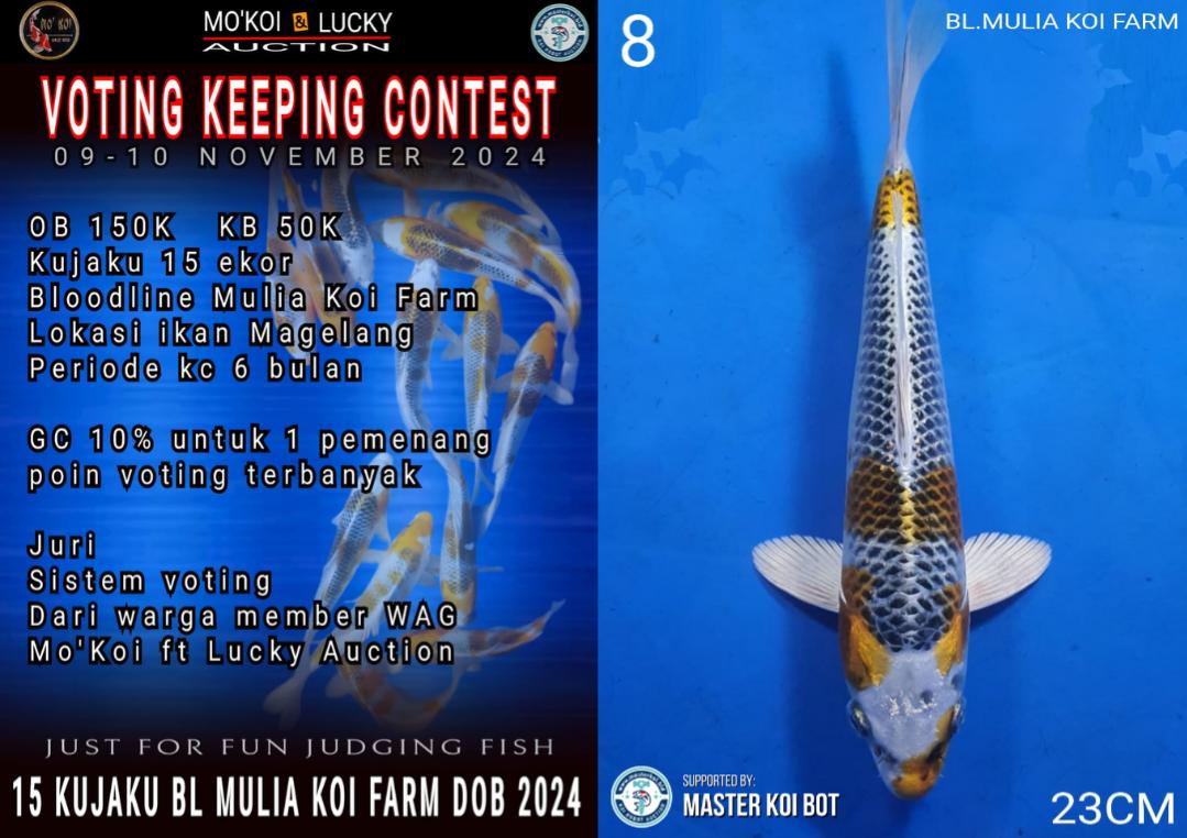 Lelang Koi Online, Jual Beli Ikan Koi, Pusat Jual Beli Koi, Info Lelang Koi Hari Ini, Platform Jual Beli Koi, Jual Beli Ikan Koi Online, Marketplace Ikan Koi, Jual Koi Terbaik, Tempat Beli Koi Berkualitas, Pasar Ikan Koi Online Terpercaya, Penjual Ikan Koi Terpercaya, Beli Koi Hias Online, Ikan Koi untuk Dijual, Koi Kualitas Terbaik, Toko Online Ikan Koi, Koi Hias Untuk Dijual, Jual Beli Ikan Koi Lokal, Koi Indonesia Online, Pusat Jual Beli Koi Terbesar