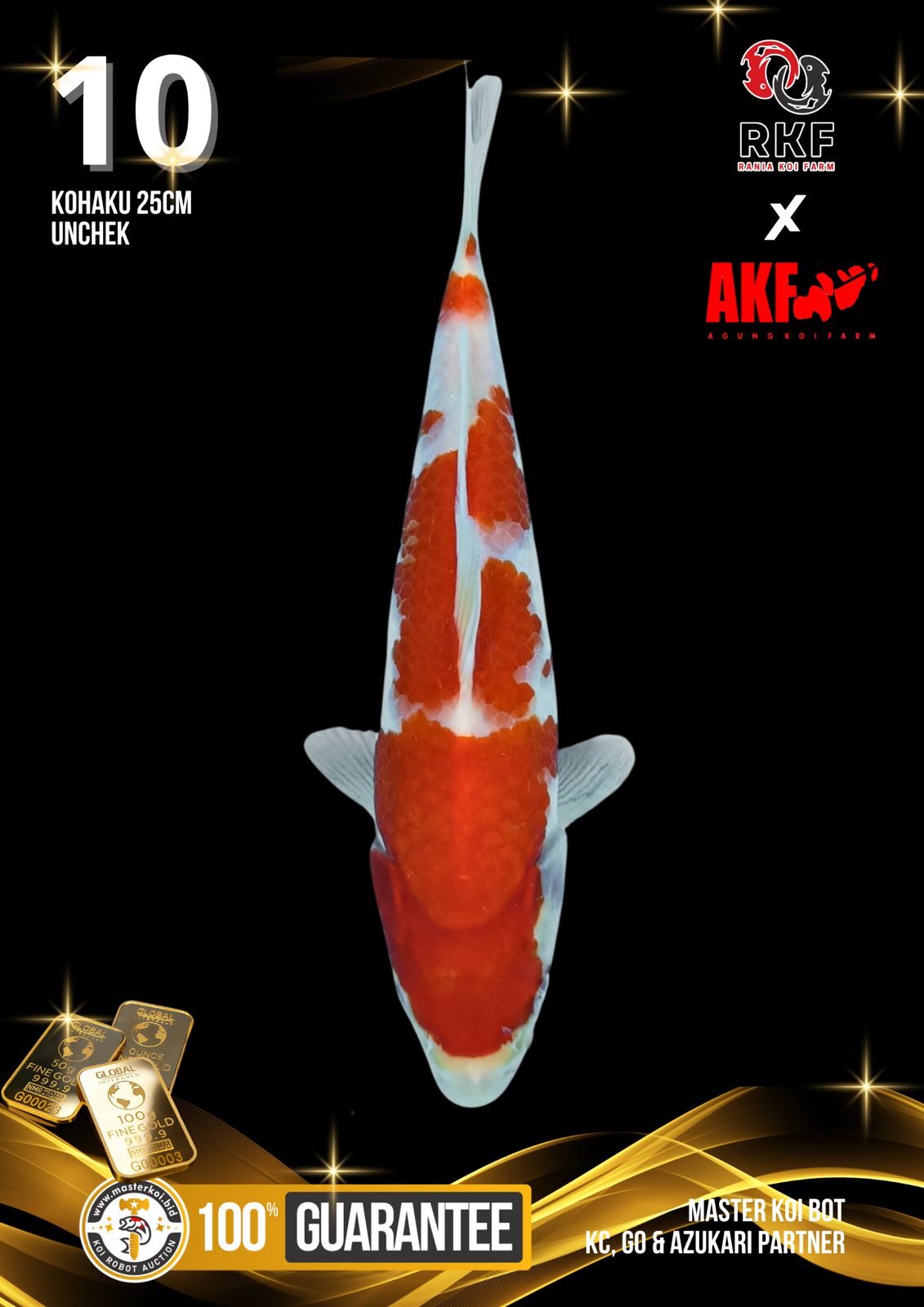 Lelang Koi Online, Jual Beli Ikan Koi, Pusat Jual Beli Koi, Info Lelang Koi Hari Ini, Platform Jual Beli Koi, Jual Beli Ikan Koi Online, Marketplace Ikan Koi, Jual Koi Terbaik, Tempat Beli Koi Berkualitas, Pasar Ikan Koi Online Terpercaya, Penjual Ikan Koi Terpercaya, Beli Koi Hias Online, Ikan Koi untuk Dijual, Koi Kualitas Terbaik, Toko Online Ikan Koi, Koi Hias Untuk Dijual, Jual Beli Ikan Koi Lokal, Koi Indonesia Online, Pusat Jual Beli Koi Terbesar