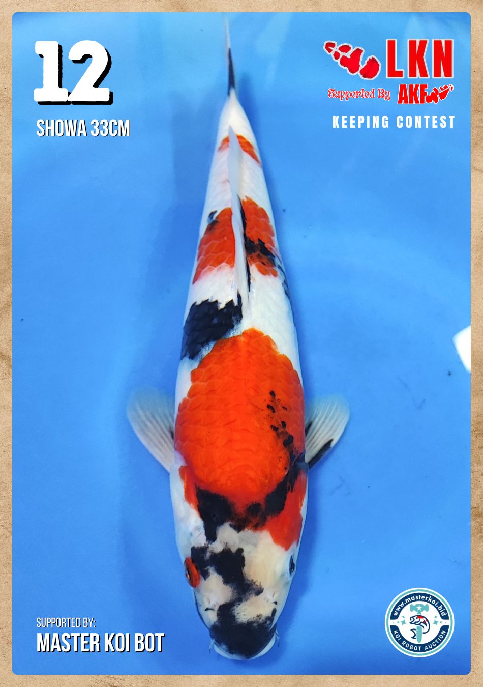 Lelang Koi Online, Jual Beli Ikan Koi, Pusat Jual Beli Koi, Info Lelang Koi Hari Ini, Platform Jual Beli Koi, Jual Beli Ikan Koi Online, Marketplace Ikan Koi, Jual Koi Terbaik, Tempat Beli Koi Berkualitas, Pasar Ikan Koi Online Terpercaya, Penjual Ikan Koi Terpercaya, Beli Koi Hias Online, Ikan Koi untuk Dijual, Koi Kualitas Terbaik, Toko Online Ikan Koi, Koi Hias Untuk Dijual, Jual Beli Ikan Koi Lokal, Koi Indonesia Online, Pusat Jual Beli Koi Terbesar