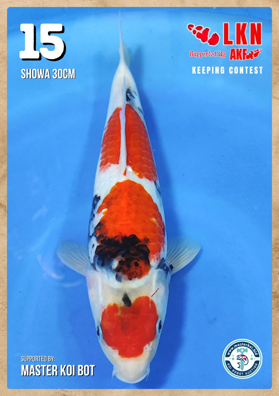 Lelang Koi Online, Jual Beli Ikan Koi, Pusat Jual Beli Koi, Info Lelang Koi Hari Ini, Platform Jual Beli Koi, Jual Beli Ikan Koi Online, Marketplace Ikan Koi, Jual Koi Terbaik, Tempat Beli Koi Berkualitas, Pasar Ikan Koi Online Terpercaya, Penjual Ikan Koi Terpercaya, Beli Koi Hias Online, Ikan Koi untuk Dijual, Koi Kualitas Terbaik, Toko Online Ikan Koi, Koi Hias Untuk Dijual, Jual Beli Ikan Koi Lokal, Koi Indonesia Online, Pusat Jual Beli Koi Terbesar