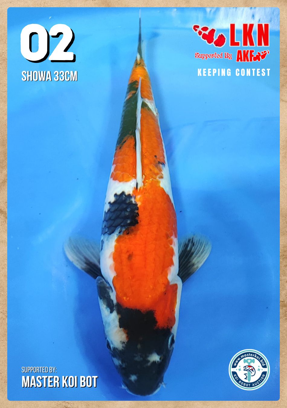 Lelang Koi Online, Jual Beli Ikan Koi, Pusat Jual Beli Koi, Info Lelang Koi Hari Ini, Platform Jual Beli Koi, Jual Beli Ikan Koi Online, Marketplace Ikan Koi, Jual Koi Terbaik, Tempat Beli Koi Berkualitas, Pasar Ikan Koi Online Terpercaya, Penjual Ikan Koi Terpercaya, Beli Koi Hias Online, Ikan Koi untuk Dijual, Koi Kualitas Terbaik, Toko Online Ikan Koi, Koi Hias Untuk Dijual, Jual Beli Ikan Koi Lokal, Koi Indonesia Online, Pusat Jual Beli Koi Terbesar