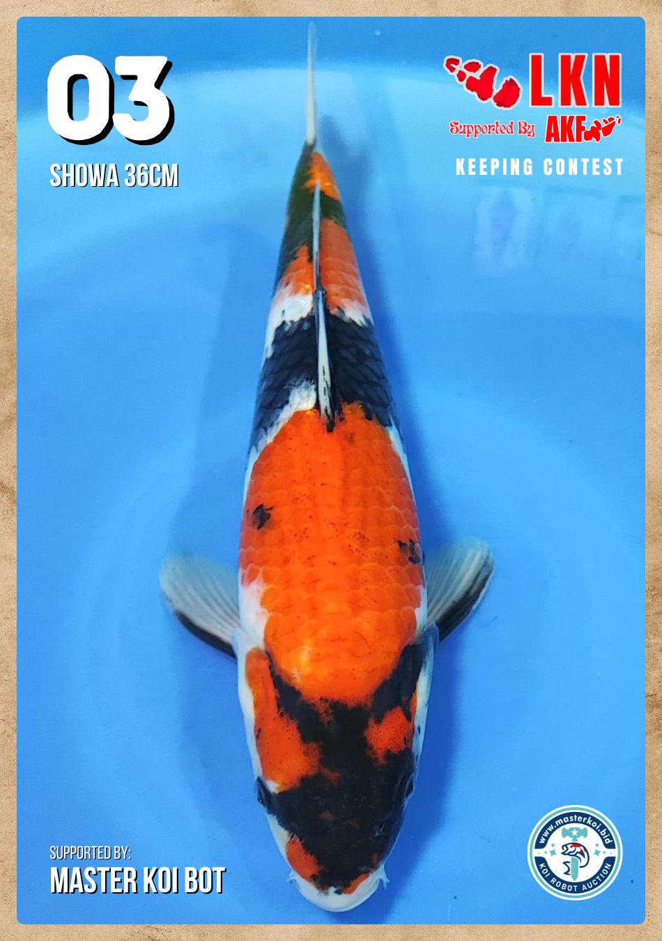 Lelang Koi Online, Jual Beli Ikan Koi, Pusat Jual Beli Koi, Info Lelang Koi Hari Ini, Platform Jual Beli Koi, Jual Beli Ikan Koi Online, Marketplace Ikan Koi, Jual Koi Terbaik, Tempat Beli Koi Berkualitas, Pasar Ikan Koi Online Terpercaya, Penjual Ikan Koi Terpercaya, Beli Koi Hias Online, Ikan Koi untuk Dijual, Koi Kualitas Terbaik, Toko Online Ikan Koi, Koi Hias Untuk Dijual, Jual Beli Ikan Koi Lokal, Koi Indonesia Online, Pusat Jual Beli Koi Terbesar