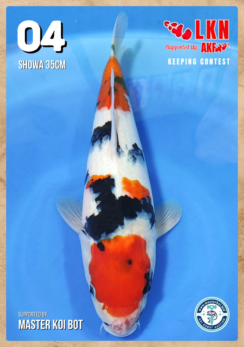 Lelang Koi Online, Jual Beli Ikan Koi, Pusat Jual Beli Koi, Info Lelang Koi Hari Ini, Platform Jual Beli Koi, Jual Beli Ikan Koi Online, Marketplace Ikan Koi, Jual Koi Terbaik, Tempat Beli Koi Berkualitas, Pasar Ikan Koi Online Terpercaya, Penjual Ikan Koi Terpercaya, Beli Koi Hias Online, Ikan Koi untuk Dijual, Koi Kualitas Terbaik, Toko Online Ikan Koi, Koi Hias Untuk Dijual, Jual Beli Ikan Koi Lokal, Koi Indonesia Online, Pusat Jual Beli Koi Terbesar