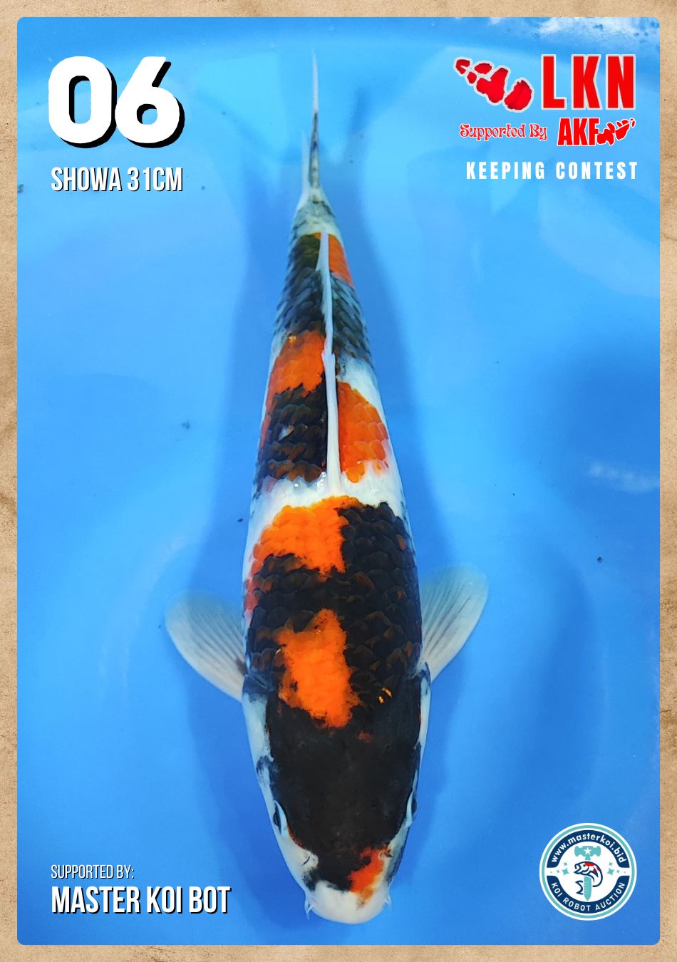 Lelang Koi Online, Jual Beli Ikan Koi, Pusat Jual Beli Koi, Info Lelang Koi Hari Ini, Platform Jual Beli Koi, Jual Beli Ikan Koi Online, Marketplace Ikan Koi, Jual Koi Terbaik, Tempat Beli Koi Berkualitas, Pasar Ikan Koi Online Terpercaya, Penjual Ikan Koi Terpercaya, Beli Koi Hias Online, Ikan Koi untuk Dijual, Koi Kualitas Terbaik, Toko Online Ikan Koi, Koi Hias Untuk Dijual, Jual Beli Ikan Koi Lokal, Koi Indonesia Online, Pusat Jual Beli Koi Terbesar