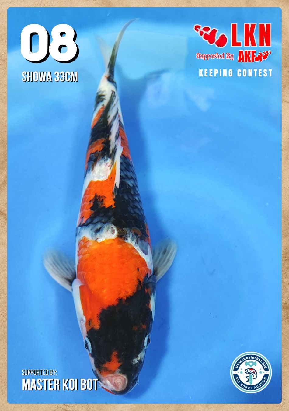 Lelang Koi Online, Jual Beli Ikan Koi, Pusat Jual Beli Koi, Info Lelang Koi Hari Ini, Platform Jual Beli Koi, Jual Beli Ikan Koi Online, Marketplace Ikan Koi, Jual Koi Terbaik, Tempat Beli Koi Berkualitas, Pasar Ikan Koi Online Terpercaya, Penjual Ikan Koi Terpercaya, Beli Koi Hias Online, Ikan Koi untuk Dijual, Koi Kualitas Terbaik, Toko Online Ikan Koi, Koi Hias Untuk Dijual, Jual Beli Ikan Koi Lokal, Koi Indonesia Online, Pusat Jual Beli Koi Terbesar