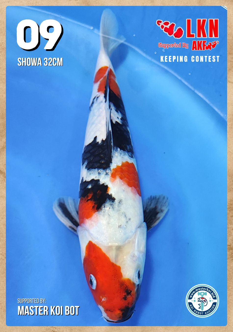 Lelang Koi Online, Jual Beli Ikan Koi, Pusat Jual Beli Koi, Info Lelang Koi Hari Ini, Platform Jual Beli Koi, Jual Beli Ikan Koi Online, Marketplace Ikan Koi, Jual Koi Terbaik, Tempat Beli Koi Berkualitas, Pasar Ikan Koi Online Terpercaya, Penjual Ikan Koi Terpercaya, Beli Koi Hias Online, Ikan Koi untuk Dijual, Koi Kualitas Terbaik, Toko Online Ikan Koi, Koi Hias Untuk Dijual, Jual Beli Ikan Koi Lokal, Koi Indonesia Online, Pusat Jual Beli Koi Terbesar