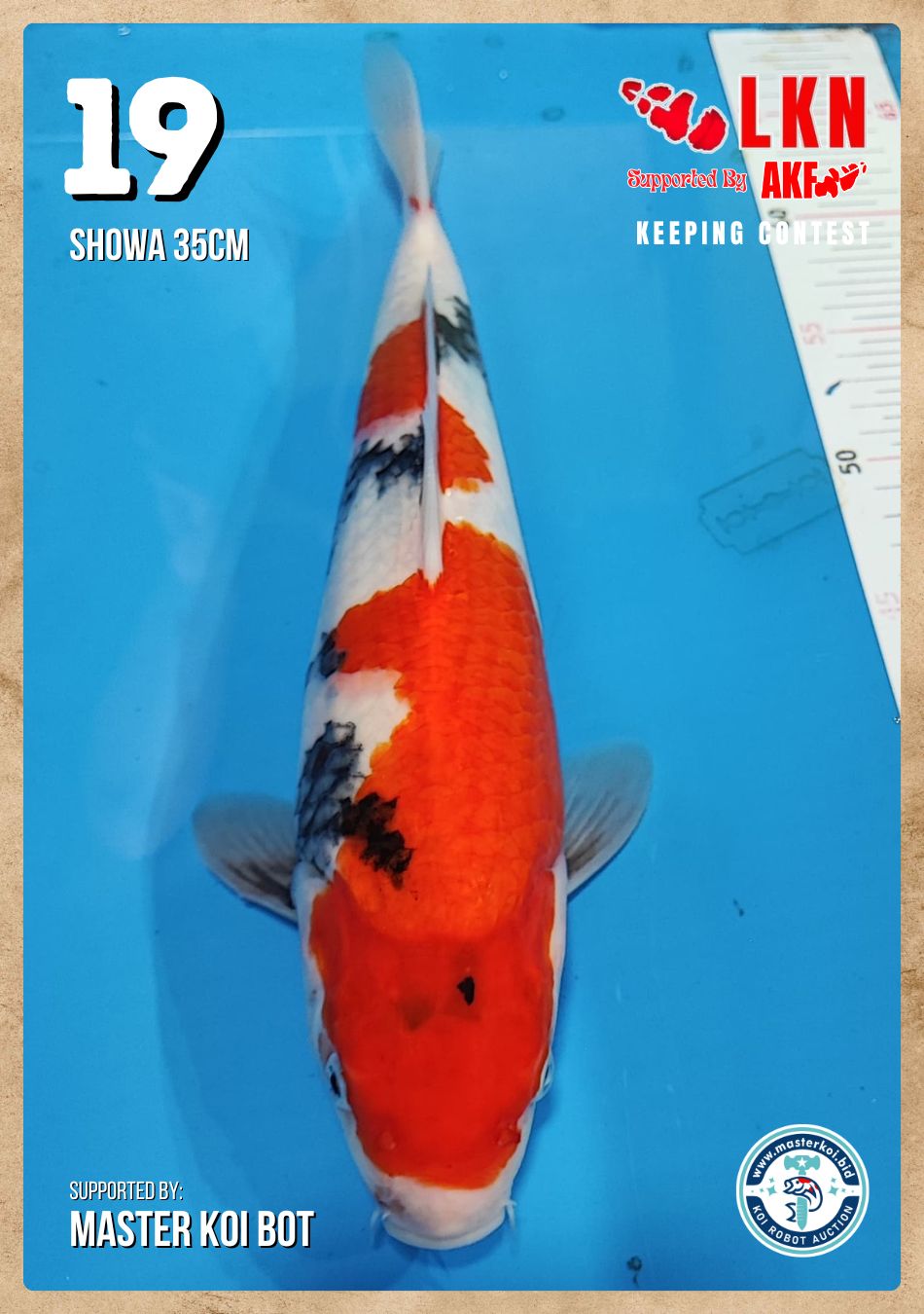 Lelang Koi Online, Jual Beli Ikan Koi, Pusat Jual Beli Koi, Info Lelang Koi Hari Ini, Platform Jual Beli Koi, Jual Beli Ikan Koi Online, Marketplace Ikan Koi, Jual Koi Terbaik, Tempat Beli Koi Berkualitas, Pasar Ikan Koi Online Terpercaya, Penjual Ikan Koi Terpercaya, Beli Koi Hias Online, Ikan Koi untuk Dijual, Koi Kualitas Terbaik, Toko Online Ikan Koi, Koi Hias Untuk Dijual, Jual Beli Ikan Koi Lokal, Koi Indonesia Online, Pusat Jual Beli Koi Terbesar