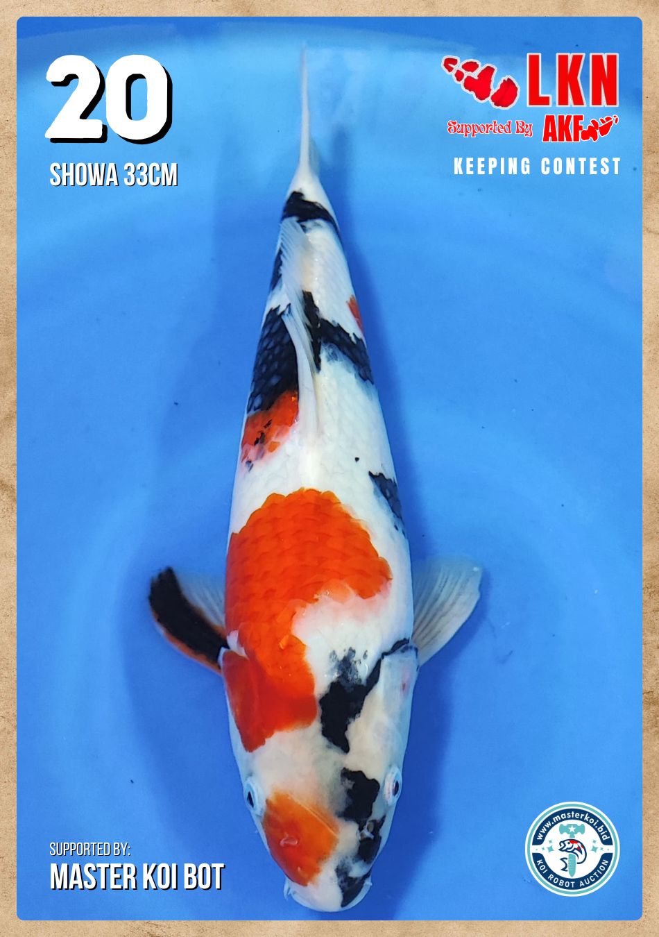 Lelang Koi Online, Jual Beli Ikan Koi, Pusat Jual Beli Koi, Info Lelang Koi Hari Ini, Platform Jual Beli Koi, Jual Beli Ikan Koi Online, Marketplace Ikan Koi, Jual Koi Terbaik, Tempat Beli Koi Berkualitas, Pasar Ikan Koi Online Terpercaya, Penjual Ikan Koi Terpercaya, Beli Koi Hias Online, Ikan Koi untuk Dijual, Koi Kualitas Terbaik, Toko Online Ikan Koi, Koi Hias Untuk Dijual, Jual Beli Ikan Koi Lokal, Koi Indonesia Online, Pusat Jual Beli Koi Terbesar