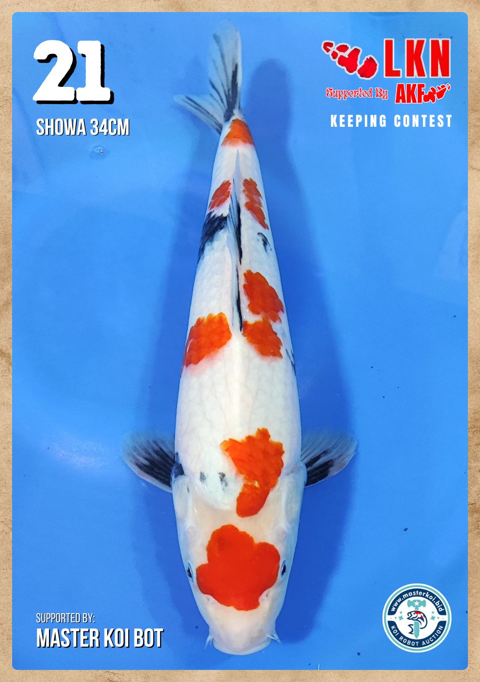 Lelang Koi Online, Jual Beli Ikan Koi, Pusat Jual Beli Koi, Info Lelang Koi Hari Ini, Platform Jual Beli Koi, Jual Beli Ikan Koi Online, Marketplace Ikan Koi, Jual Koi Terbaik, Tempat Beli Koi Berkualitas, Pasar Ikan Koi Online Terpercaya, Penjual Ikan Koi Terpercaya, Beli Koi Hias Online, Ikan Koi untuk Dijual, Koi Kualitas Terbaik, Toko Online Ikan Koi, Koi Hias Untuk Dijual, Jual Beli Ikan Koi Lokal, Koi Indonesia Online, Pusat Jual Beli Koi Terbesar