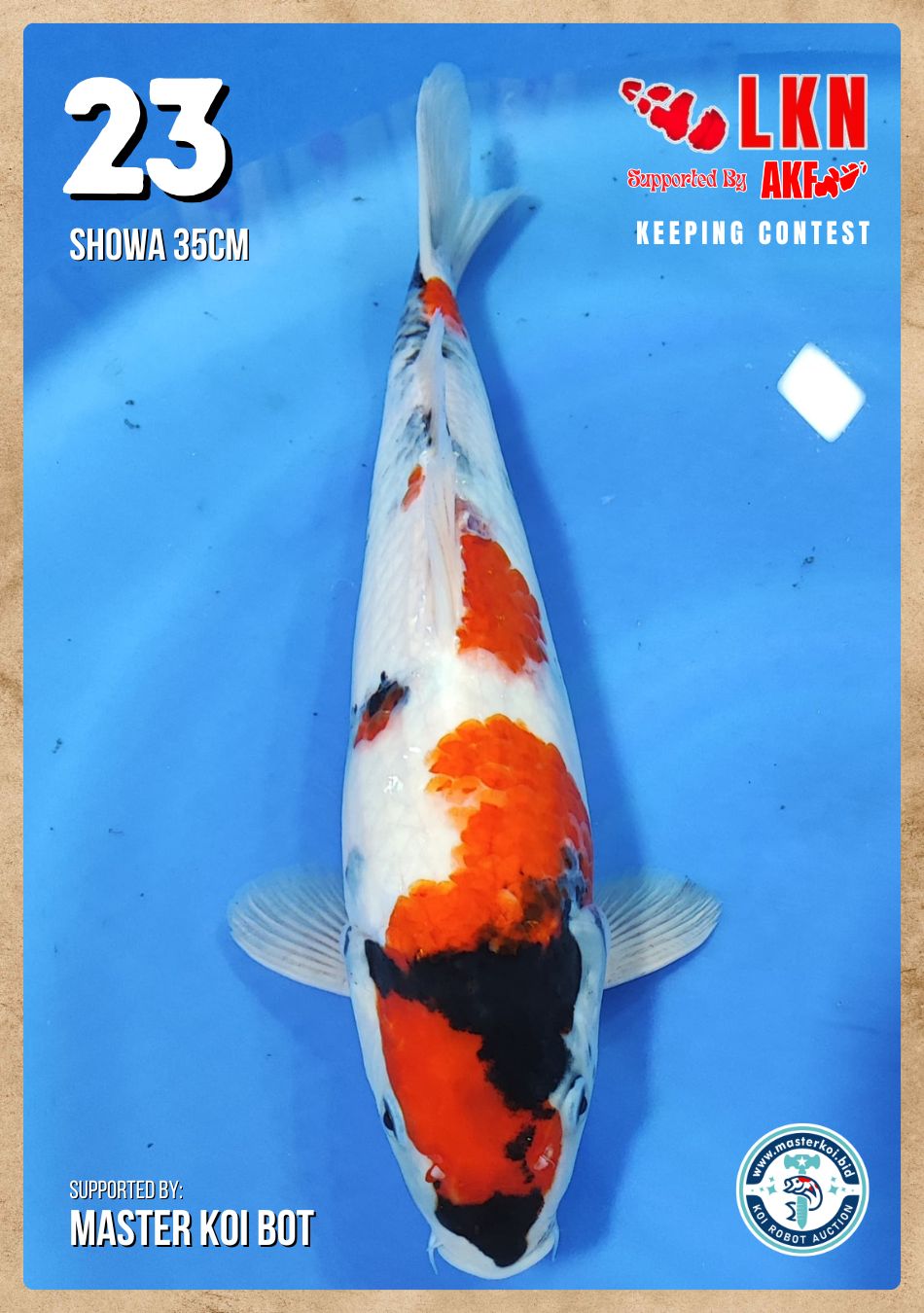 Lelang Koi Online, Jual Beli Ikan Koi, Pusat Jual Beli Koi, Info Lelang Koi Hari Ini, Platform Jual Beli Koi, Jual Beli Ikan Koi Online, Marketplace Ikan Koi, Jual Koi Terbaik, Tempat Beli Koi Berkualitas, Pasar Ikan Koi Online Terpercaya, Penjual Ikan Koi Terpercaya, Beli Koi Hias Online, Ikan Koi untuk Dijual, Koi Kualitas Terbaik, Toko Online Ikan Koi, Koi Hias Untuk Dijual, Jual Beli Ikan Koi Lokal, Koi Indonesia Online, Pusat Jual Beli Koi Terbesar