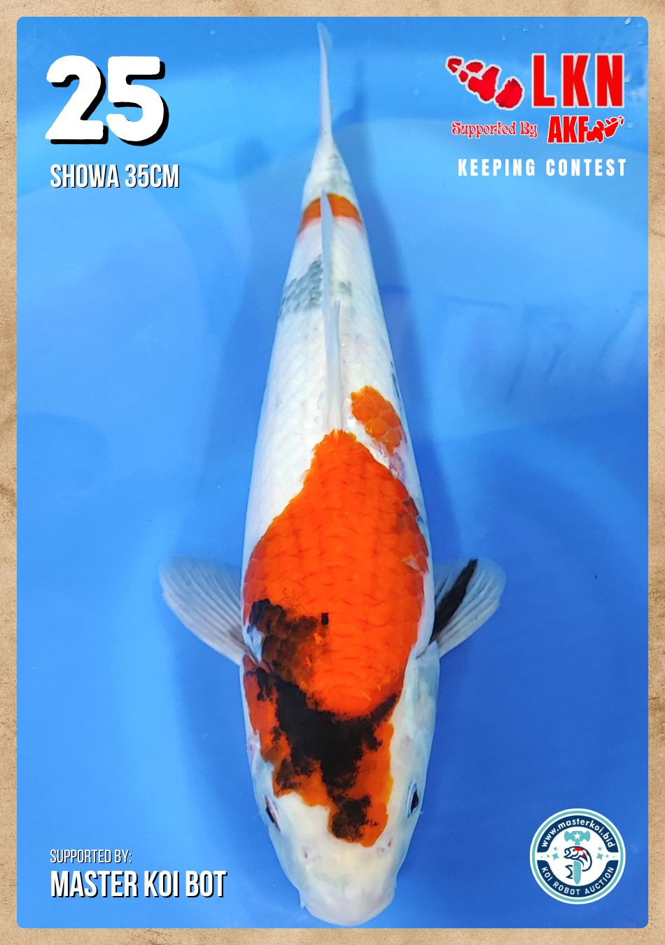 Lelang Koi Online, Jual Beli Ikan Koi, Pusat Jual Beli Koi, Info Lelang Koi Hari Ini, Platform Jual Beli Koi, Jual Beli Ikan Koi Online, Marketplace Ikan Koi, Jual Koi Terbaik, Tempat Beli Koi Berkualitas, Pasar Ikan Koi Online Terpercaya, Penjual Ikan Koi Terpercaya, Beli Koi Hias Online, Ikan Koi untuk Dijual, Koi Kualitas Terbaik, Toko Online Ikan Koi, Koi Hias Untuk Dijual, Jual Beli Ikan Koi Lokal, Koi Indonesia Online, Pusat Jual Beli Koi Terbesar