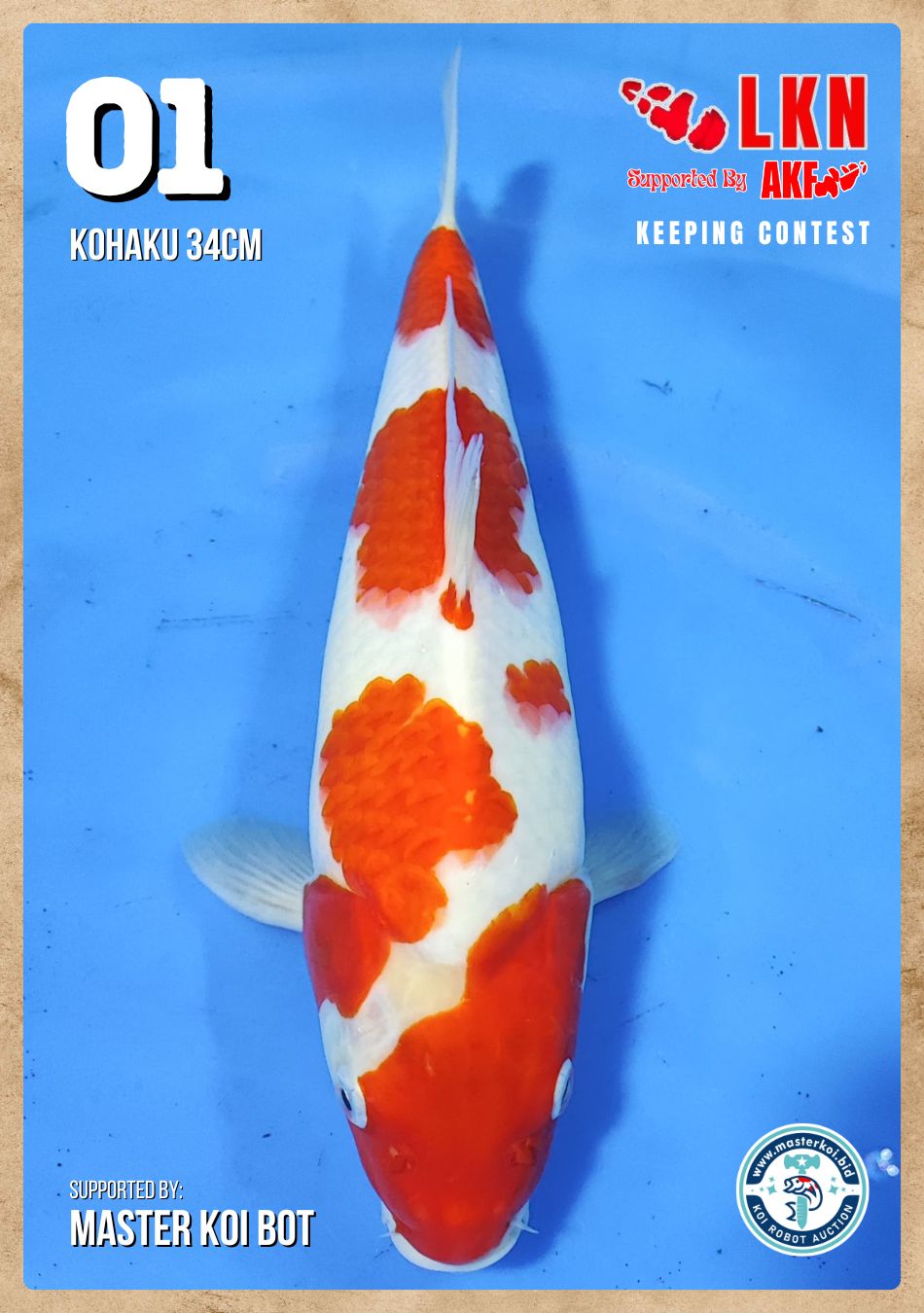 Lelang Koi Online, Jual Beli Ikan Koi, Pusat Jual Beli Koi, Info Lelang Koi Hari Ini, Platform Jual Beli Koi, Jual Beli Ikan Koi Online, Marketplace Ikan Koi, Jual Koi Terbaik, Tempat Beli Koi Berkualitas, Pasar Ikan Koi Online Terpercaya, Penjual Ikan Koi Terpercaya, Beli Koi Hias Online, Ikan Koi untuk Dijual, Koi Kualitas Terbaik, Toko Online Ikan Koi, Koi Hias Untuk Dijual, Jual Beli Ikan Koi Lokal, Koi Indonesia Online, Pusat Jual Beli Koi Terbesar