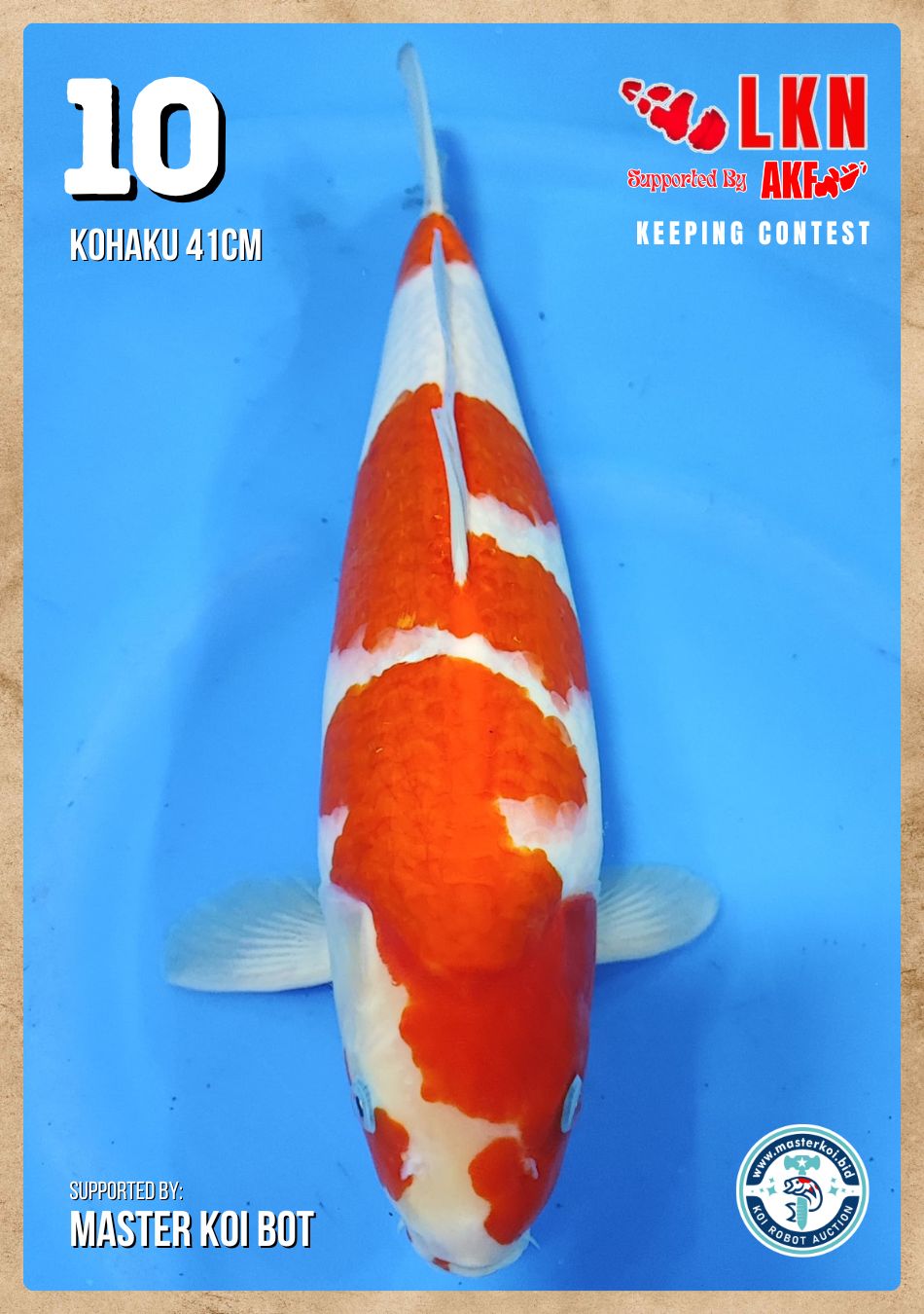 Lelang Koi Online, Jual Beli Ikan Koi, Pusat Jual Beli Koi, Info Lelang Koi Hari Ini, Platform Jual Beli Koi, Jual Beli Ikan Koi Online, Marketplace Ikan Koi, Jual Koi Terbaik, Tempat Beli Koi Berkualitas, Pasar Ikan Koi Online Terpercaya, Penjual Ikan Koi Terpercaya, Beli Koi Hias Online, Ikan Koi untuk Dijual, Koi Kualitas Terbaik, Toko Online Ikan Koi, Koi Hias Untuk Dijual, Jual Beli Ikan Koi Lokal, Koi Indonesia Online, Pusat Jual Beli Koi Terbesar