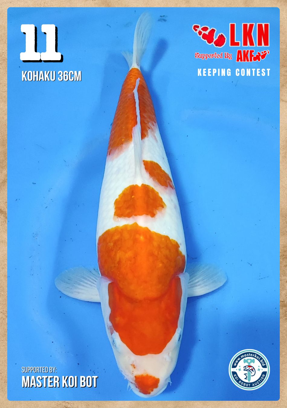 Lelang Koi Online, Jual Beli Ikan Koi, Pusat Jual Beli Koi, Info Lelang Koi Hari Ini, Platform Jual Beli Koi, Jual Beli Ikan Koi Online, Marketplace Ikan Koi, Jual Koi Terbaik, Tempat Beli Koi Berkualitas, Pasar Ikan Koi Online Terpercaya, Penjual Ikan Koi Terpercaya, Beli Koi Hias Online, Ikan Koi untuk Dijual, Koi Kualitas Terbaik, Toko Online Ikan Koi, Koi Hias Untuk Dijual, Jual Beli Ikan Koi Lokal, Koi Indonesia Online, Pusat Jual Beli Koi Terbesar