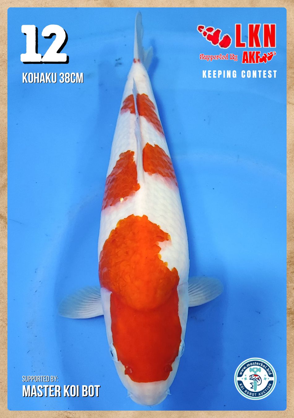 Lelang Koi Online, Jual Beli Ikan Koi, Pusat Jual Beli Koi, Info Lelang Koi Hari Ini, Platform Jual Beli Koi, Jual Beli Ikan Koi Online, Marketplace Ikan Koi, Jual Koi Terbaik, Tempat Beli Koi Berkualitas, Pasar Ikan Koi Online Terpercaya, Penjual Ikan Koi Terpercaya, Beli Koi Hias Online, Ikan Koi untuk Dijual, Koi Kualitas Terbaik, Toko Online Ikan Koi, Koi Hias Untuk Dijual, Jual Beli Ikan Koi Lokal, Koi Indonesia Online, Pusat Jual Beli Koi Terbesar