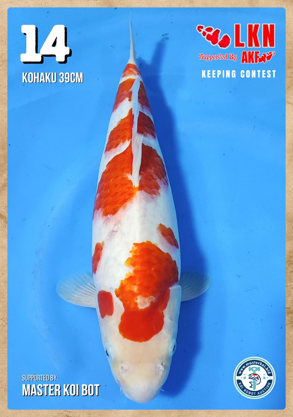 Lelang Koi Online, Jual Beli Ikan Koi, Pusat Jual Beli Koi, Info Lelang Koi Hari Ini, Platform Jual Beli Koi, Jual Beli Ikan Koi Online, Marketplace Ikan Koi, Jual Koi Terbaik, Tempat Beli Koi Berkualitas, Pasar Ikan Koi Online Terpercaya, Penjual Ikan Koi Terpercaya, Beli Koi Hias Online, Ikan Koi untuk Dijual, Koi Kualitas Terbaik, Toko Online Ikan Koi, Koi Hias Untuk Dijual, Jual Beli Ikan Koi Lokal, Koi Indonesia Online, Pusat Jual Beli Koi Terbesar