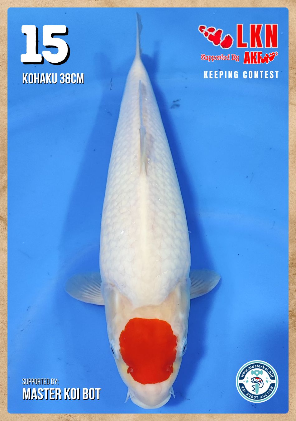 Lelang Koi Online, Jual Beli Ikan Koi, Pusat Jual Beli Koi, Info Lelang Koi Hari Ini, Platform Jual Beli Koi, Jual Beli Ikan Koi Online, Marketplace Ikan Koi, Jual Koi Terbaik, Tempat Beli Koi Berkualitas, Pasar Ikan Koi Online Terpercaya, Penjual Ikan Koi Terpercaya, Beli Koi Hias Online, Ikan Koi untuk Dijual, Koi Kualitas Terbaik, Toko Online Ikan Koi, Koi Hias Untuk Dijual, Jual Beli Ikan Koi Lokal, Koi Indonesia Online, Pusat Jual Beli Koi Terbesar