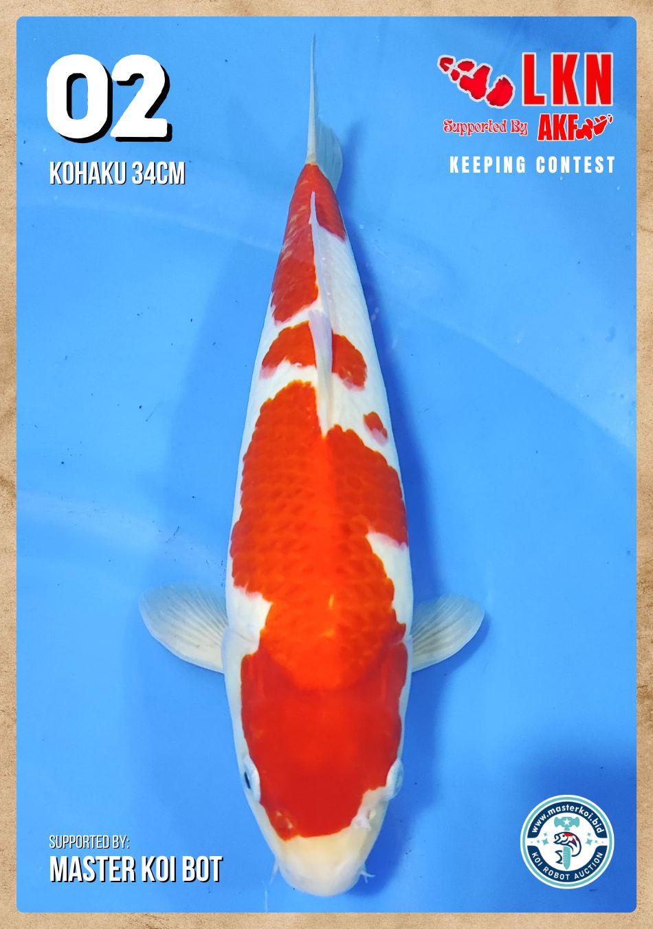 Lelang Koi Online, Jual Beli Ikan Koi, Pusat Jual Beli Koi, Info Lelang Koi Hari Ini, Platform Jual Beli Koi, Jual Beli Ikan Koi Online, Marketplace Ikan Koi, Jual Koi Terbaik, Tempat Beli Koi Berkualitas, Pasar Ikan Koi Online Terpercaya, Penjual Ikan Koi Terpercaya, Beli Koi Hias Online, Ikan Koi untuk Dijual, Koi Kualitas Terbaik, Toko Online Ikan Koi, Koi Hias Untuk Dijual, Jual Beli Ikan Koi Lokal, Koi Indonesia Online, Pusat Jual Beli Koi Terbesar