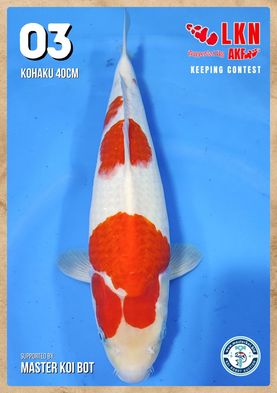 Lelang Koi Online, Jual Beli Ikan Koi, Pusat Jual Beli Koi, Info Lelang Koi Hari Ini, Platform Jual Beli Koi, Jual Beli Ikan Koi Online, Marketplace Ikan Koi, Jual Koi Terbaik, Tempat Beli Koi Berkualitas, Pasar Ikan Koi Online Terpercaya, Penjual Ikan Koi Terpercaya, Beli Koi Hias Online, Ikan Koi untuk Dijual, Koi Kualitas Terbaik, Toko Online Ikan Koi, Koi Hias Untuk Dijual, Jual Beli Ikan Koi Lokal, Koi Indonesia Online, Pusat Jual Beli Koi Terbesar