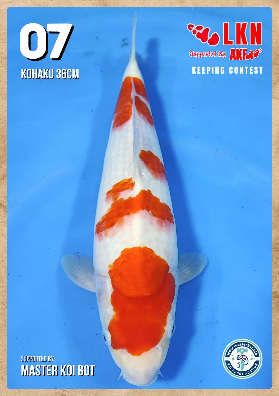 Lelang Koi Online, Jual Beli Ikan Koi, Pusat Jual Beli Koi, Info Lelang Koi Hari Ini, Platform Jual Beli Koi, Jual Beli Ikan Koi Online, Marketplace Ikan Koi, Jual Koi Terbaik, Tempat Beli Koi Berkualitas, Pasar Ikan Koi Online Terpercaya, Penjual Ikan Koi Terpercaya, Beli Koi Hias Online, Ikan Koi untuk Dijual, Koi Kualitas Terbaik, Toko Online Ikan Koi, Koi Hias Untuk Dijual, Jual Beli Ikan Koi Lokal, Koi Indonesia Online, Pusat Jual Beli Koi Terbesar