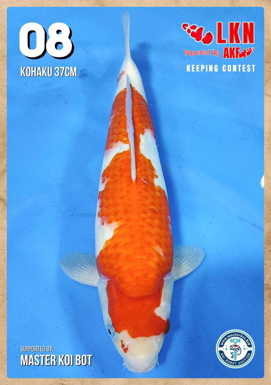 Lelang Koi Online, Jual Beli Ikan Koi, Pusat Jual Beli Koi, Info Lelang Koi Hari Ini, Platform Jual Beli Koi, Jual Beli Ikan Koi Online, Marketplace Ikan Koi, Jual Koi Terbaik, Tempat Beli Koi Berkualitas, Pasar Ikan Koi Online Terpercaya, Penjual Ikan Koi Terpercaya, Beli Koi Hias Online, Ikan Koi untuk Dijual, Koi Kualitas Terbaik, Toko Online Ikan Koi, Koi Hias Untuk Dijual, Jual Beli Ikan Koi Lokal, Koi Indonesia Online, Pusat Jual Beli Koi Terbesar