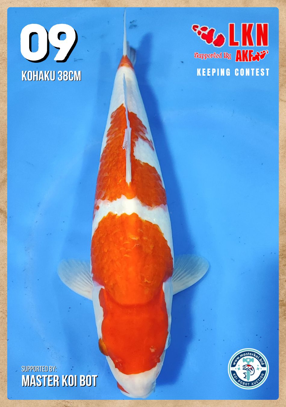 Lelang Koi Online, Jual Beli Ikan Koi, Pusat Jual Beli Koi, Info Lelang Koi Hari Ini, Platform Jual Beli Koi, Jual Beli Ikan Koi Online, Marketplace Ikan Koi, Jual Koi Terbaik, Tempat Beli Koi Berkualitas, Pasar Ikan Koi Online Terpercaya, Penjual Ikan Koi Terpercaya, Beli Koi Hias Online, Ikan Koi untuk Dijual, Koi Kualitas Terbaik, Toko Online Ikan Koi, Koi Hias Untuk Dijual, Jual Beli Ikan Koi Lokal, Koi Indonesia Online, Pusat Jual Beli Koi Terbesar