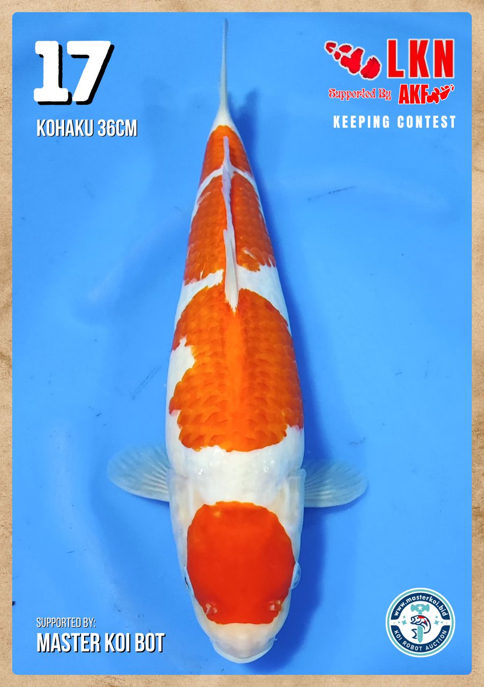 Lelang Koi Online, Jual Beli Ikan Koi, Pusat Jual Beli Koi, Info Lelang Koi Hari Ini, Platform Jual Beli Koi, Jual Beli Ikan Koi Online, Marketplace Ikan Koi, Jual Koi Terbaik, Tempat Beli Koi Berkualitas, Pasar Ikan Koi Online Terpercaya, Penjual Ikan Koi Terpercaya, Beli Koi Hias Online, Ikan Koi untuk Dijual, Koi Kualitas Terbaik, Toko Online Ikan Koi, Koi Hias Untuk Dijual, Jual Beli Ikan Koi Lokal, Koi Indonesia Online, Pusat Jual Beli Koi Terbesar