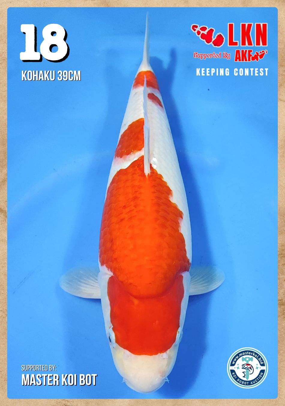 Lelang Koi Online, Jual Beli Ikan Koi, Pusat Jual Beli Koi, Info Lelang Koi Hari Ini, Platform Jual Beli Koi, Jual Beli Ikan Koi Online, Marketplace Ikan Koi, Jual Koi Terbaik, Tempat Beli Koi Berkualitas, Pasar Ikan Koi Online Terpercaya, Penjual Ikan Koi Terpercaya, Beli Koi Hias Online, Ikan Koi untuk Dijual, Koi Kualitas Terbaik, Toko Online Ikan Koi, Koi Hias Untuk Dijual, Jual Beli Ikan Koi Lokal, Koi Indonesia Online, Pusat Jual Beli Koi Terbesar