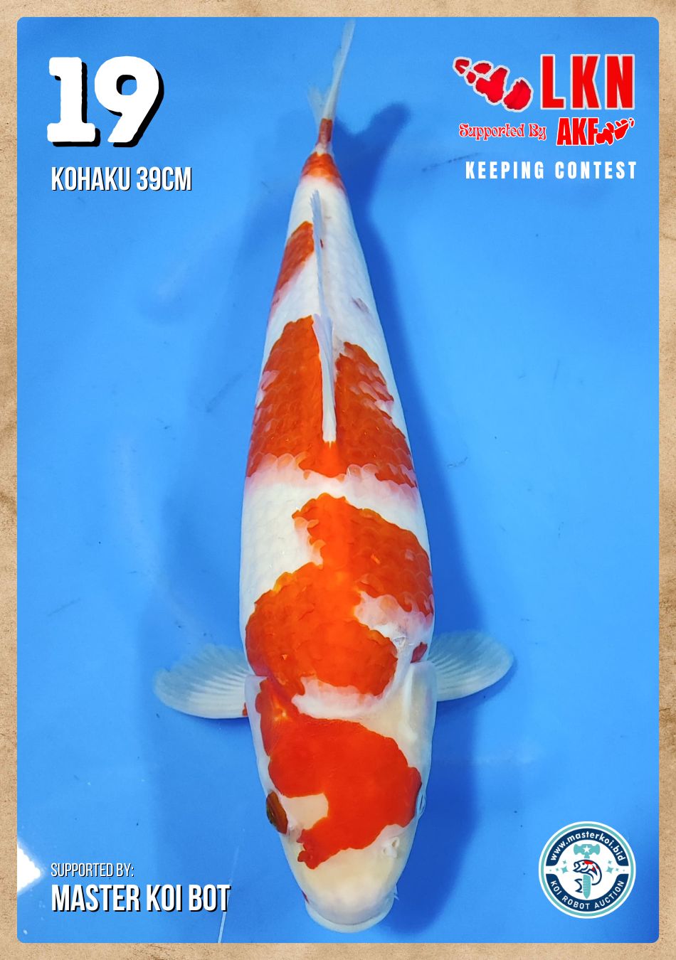 Lelang Koi Online, Jual Beli Ikan Koi, Pusat Jual Beli Koi, Info Lelang Koi Hari Ini, Platform Jual Beli Koi, Jual Beli Ikan Koi Online, Marketplace Ikan Koi, Jual Koi Terbaik, Tempat Beli Koi Berkualitas, Pasar Ikan Koi Online Terpercaya, Penjual Ikan Koi Terpercaya, Beli Koi Hias Online, Ikan Koi untuk Dijual, Koi Kualitas Terbaik, Toko Online Ikan Koi, Koi Hias Untuk Dijual, Jual Beli Ikan Koi Lokal, Koi Indonesia Online, Pusat Jual Beli Koi Terbesar