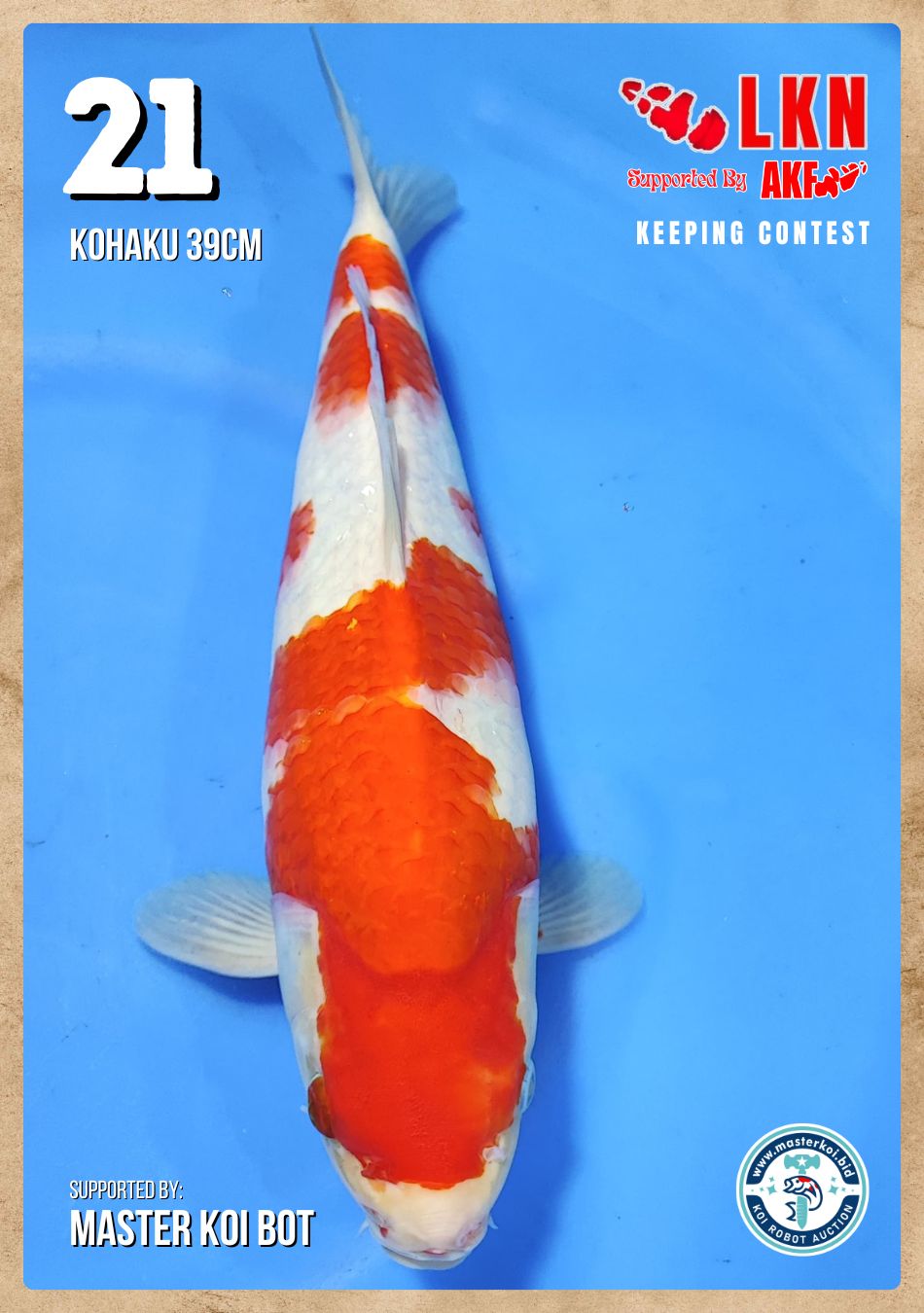 Lelang Koi Online, Jual Beli Ikan Koi, Pusat Jual Beli Koi, Info Lelang Koi Hari Ini, Platform Jual Beli Koi, Jual Beli Ikan Koi Online, Marketplace Ikan Koi, Jual Koi Terbaik, Tempat Beli Koi Berkualitas, Pasar Ikan Koi Online Terpercaya, Penjual Ikan Koi Terpercaya, Beli Koi Hias Online, Ikan Koi untuk Dijual, Koi Kualitas Terbaik, Toko Online Ikan Koi, Koi Hias Untuk Dijual, Jual Beli Ikan Koi Lokal, Koi Indonesia Online, Pusat Jual Beli Koi Terbesar