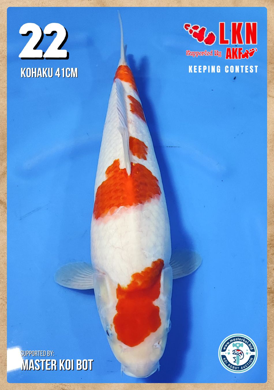 Lelang Koi Online, Jual Beli Ikan Koi, Pusat Jual Beli Koi, Info Lelang Koi Hari Ini, Platform Jual Beli Koi, Jual Beli Ikan Koi Online, Marketplace Ikan Koi, Jual Koi Terbaik, Tempat Beli Koi Berkualitas, Pasar Ikan Koi Online Terpercaya, Penjual Ikan Koi Terpercaya, Beli Koi Hias Online, Ikan Koi untuk Dijual, Koi Kualitas Terbaik, Toko Online Ikan Koi, Koi Hias Untuk Dijual, Jual Beli Ikan Koi Lokal, Koi Indonesia Online, Pusat Jual Beli Koi Terbesar