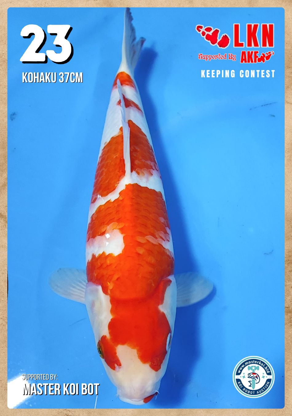 Lelang Koi Online, Jual Beli Ikan Koi, Pusat Jual Beli Koi, Info Lelang Koi Hari Ini, Platform Jual Beli Koi, Jual Beli Ikan Koi Online, Marketplace Ikan Koi, Jual Koi Terbaik, Tempat Beli Koi Berkualitas, Pasar Ikan Koi Online Terpercaya, Penjual Ikan Koi Terpercaya, Beli Koi Hias Online, Ikan Koi untuk Dijual, Koi Kualitas Terbaik, Toko Online Ikan Koi, Koi Hias Untuk Dijual, Jual Beli Ikan Koi Lokal, Koi Indonesia Online, Pusat Jual Beli Koi Terbesar