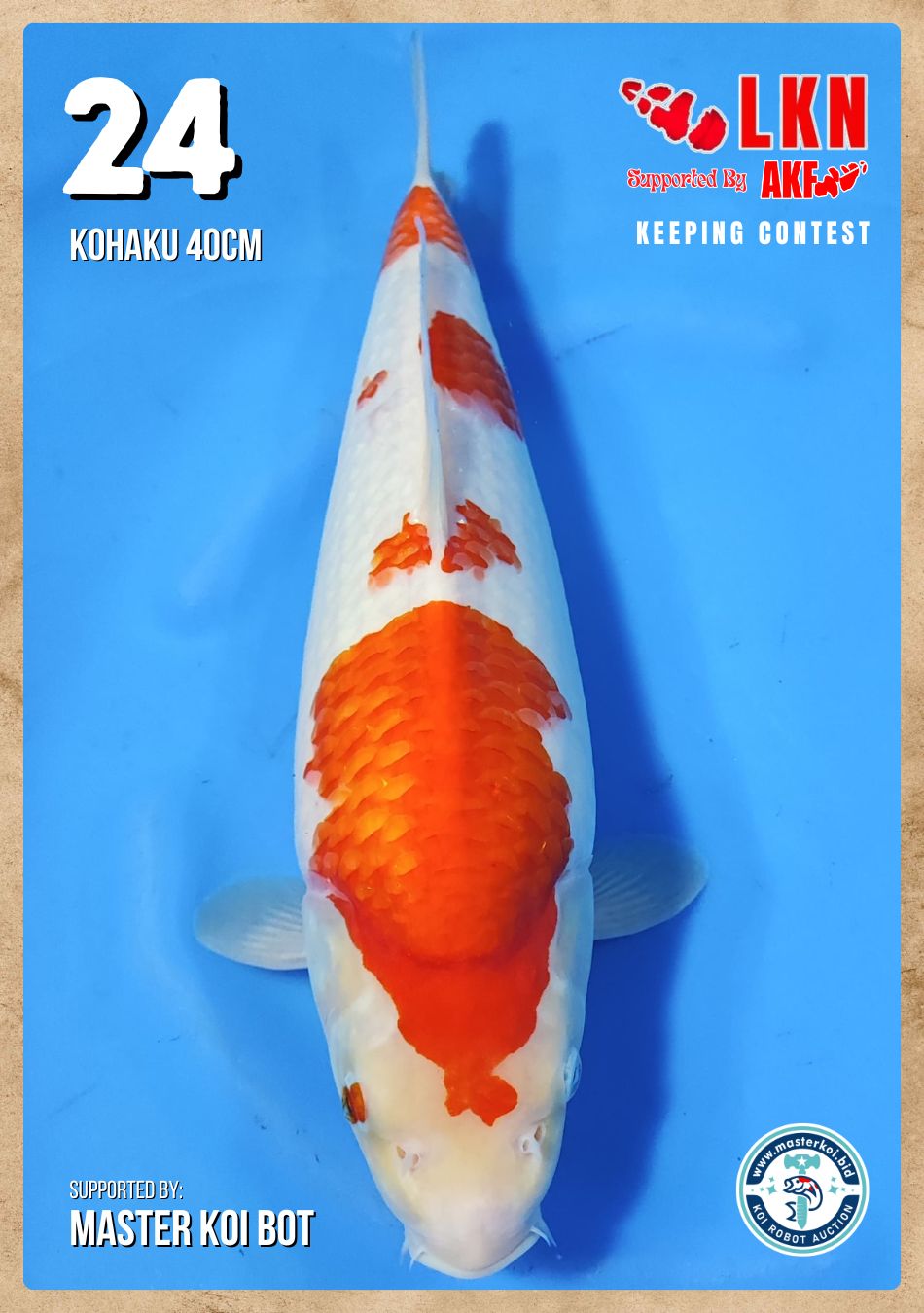 Lelang Koi Online, Jual Beli Ikan Koi, Pusat Jual Beli Koi, Info Lelang Koi Hari Ini, Platform Jual Beli Koi, Jual Beli Ikan Koi Online, Marketplace Ikan Koi, Jual Koi Terbaik, Tempat Beli Koi Berkualitas, Pasar Ikan Koi Online Terpercaya, Penjual Ikan Koi Terpercaya, Beli Koi Hias Online, Ikan Koi untuk Dijual, Koi Kualitas Terbaik, Toko Online Ikan Koi, Koi Hias Untuk Dijual, Jual Beli Ikan Koi Lokal, Koi Indonesia Online, Pusat Jual Beli Koi Terbesar