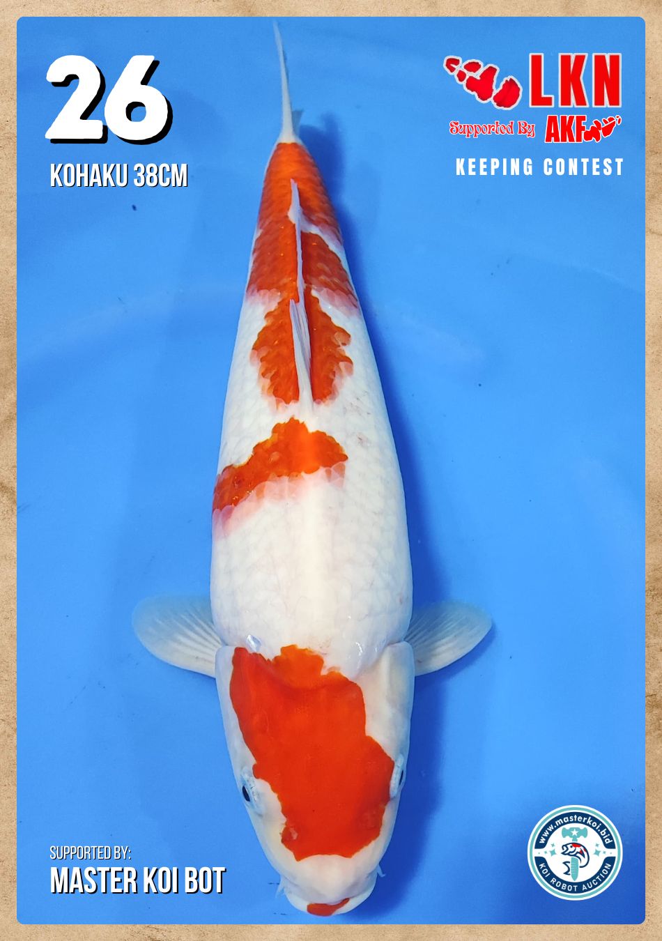 Lelang Koi Online, Jual Beli Ikan Koi, Pusat Jual Beli Koi, Info Lelang Koi Hari Ini, Platform Jual Beli Koi, Jual Beli Ikan Koi Online, Marketplace Ikan Koi, Jual Koi Terbaik, Tempat Beli Koi Berkualitas, Pasar Ikan Koi Online Terpercaya, Penjual Ikan Koi Terpercaya, Beli Koi Hias Online, Ikan Koi untuk Dijual, Koi Kualitas Terbaik, Toko Online Ikan Koi, Koi Hias Untuk Dijual, Jual Beli Ikan Koi Lokal, Koi Indonesia Online, Pusat Jual Beli Koi Terbesar