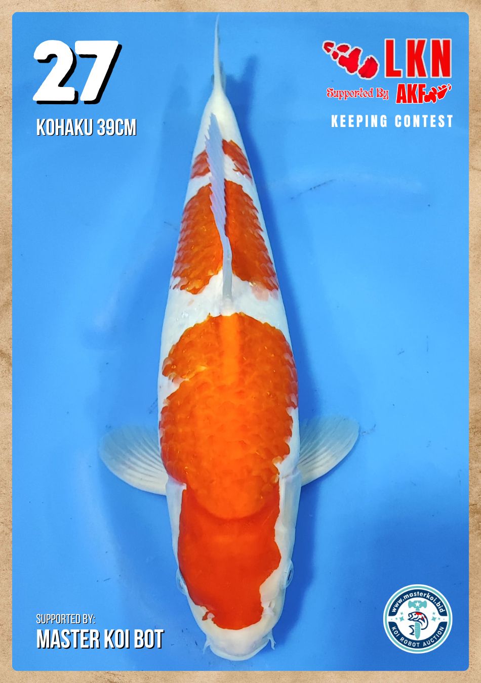 Lelang Koi Online, Jual Beli Ikan Koi, Pusat Jual Beli Koi, Info Lelang Koi Hari Ini, Platform Jual Beli Koi, Jual Beli Ikan Koi Online, Marketplace Ikan Koi, Jual Koi Terbaik, Tempat Beli Koi Berkualitas, Pasar Ikan Koi Online Terpercaya, Penjual Ikan Koi Terpercaya, Beli Koi Hias Online, Ikan Koi untuk Dijual, Koi Kualitas Terbaik, Toko Online Ikan Koi, Koi Hias Untuk Dijual, Jual Beli Ikan Koi Lokal, Koi Indonesia Online, Pusat Jual Beli Koi Terbesar