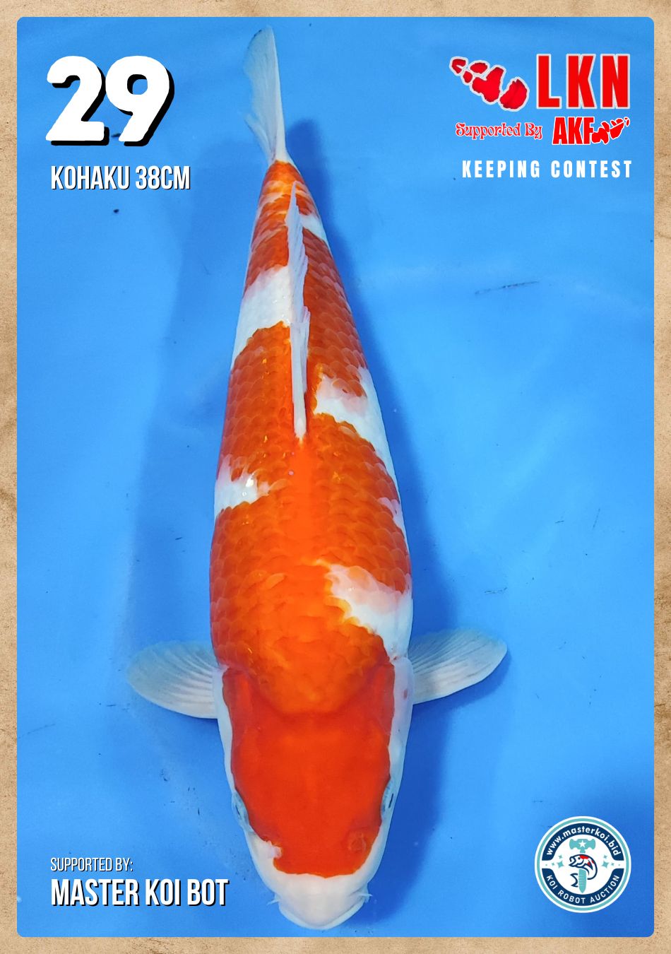 Lelang Koi Online, Jual Beli Ikan Koi, Pusat Jual Beli Koi, Info Lelang Koi Hari Ini, Platform Jual Beli Koi, Jual Beli Ikan Koi Online, Marketplace Ikan Koi, Jual Koi Terbaik, Tempat Beli Koi Berkualitas, Pasar Ikan Koi Online Terpercaya, Penjual Ikan Koi Terpercaya, Beli Koi Hias Online, Ikan Koi untuk Dijual, Koi Kualitas Terbaik, Toko Online Ikan Koi, Koi Hias Untuk Dijual, Jual Beli Ikan Koi Lokal, Koi Indonesia Online, Pusat Jual Beli Koi Terbesar