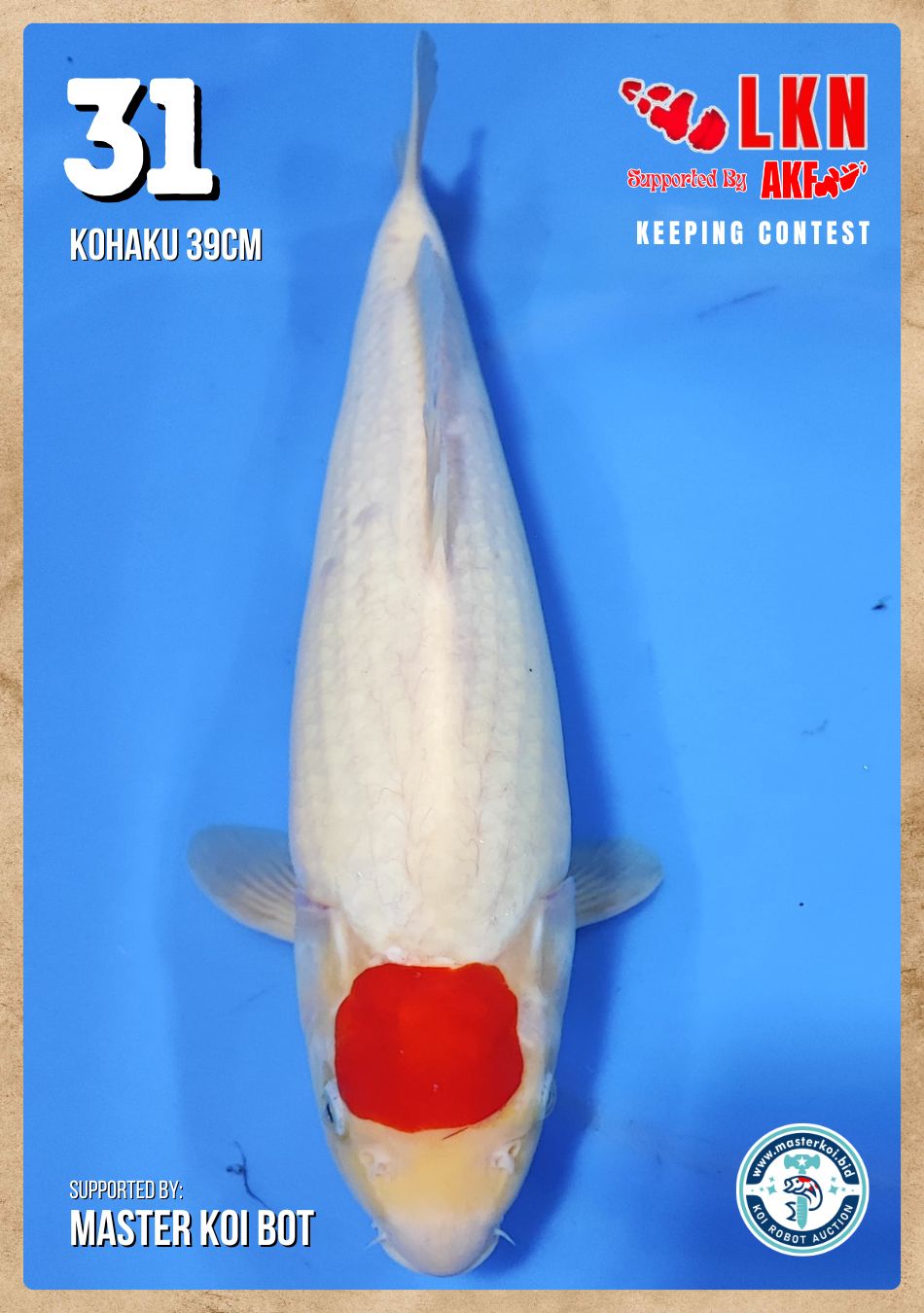 Lelang Koi Online, Jual Beli Ikan Koi, Pusat Jual Beli Koi, Info Lelang Koi Hari Ini, Platform Jual Beli Koi, Jual Beli Ikan Koi Online, Marketplace Ikan Koi, Jual Koi Terbaik, Tempat Beli Koi Berkualitas, Pasar Ikan Koi Online Terpercaya, Penjual Ikan Koi Terpercaya, Beli Koi Hias Online, Ikan Koi untuk Dijual, Koi Kualitas Terbaik, Toko Online Ikan Koi, Koi Hias Untuk Dijual, Jual Beli Ikan Koi Lokal, Koi Indonesia Online, Pusat Jual Beli Koi Terbesar