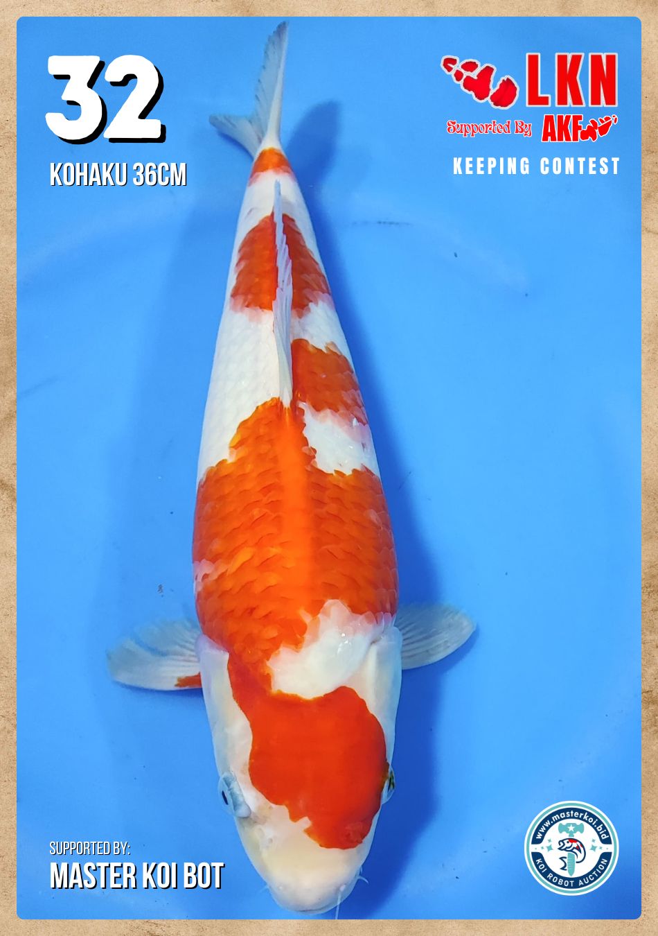 Lelang Koi Online, Jual Beli Ikan Koi, Pusat Jual Beli Koi, Info Lelang Koi Hari Ini, Platform Jual Beli Koi, Jual Beli Ikan Koi Online, Marketplace Ikan Koi, Jual Koi Terbaik, Tempat Beli Koi Berkualitas, Pasar Ikan Koi Online Terpercaya, Penjual Ikan Koi Terpercaya, Beli Koi Hias Online, Ikan Koi untuk Dijual, Koi Kualitas Terbaik, Toko Online Ikan Koi, Koi Hias Untuk Dijual, Jual Beli Ikan Koi Lokal, Koi Indonesia Online, Pusat Jual Beli Koi Terbesar