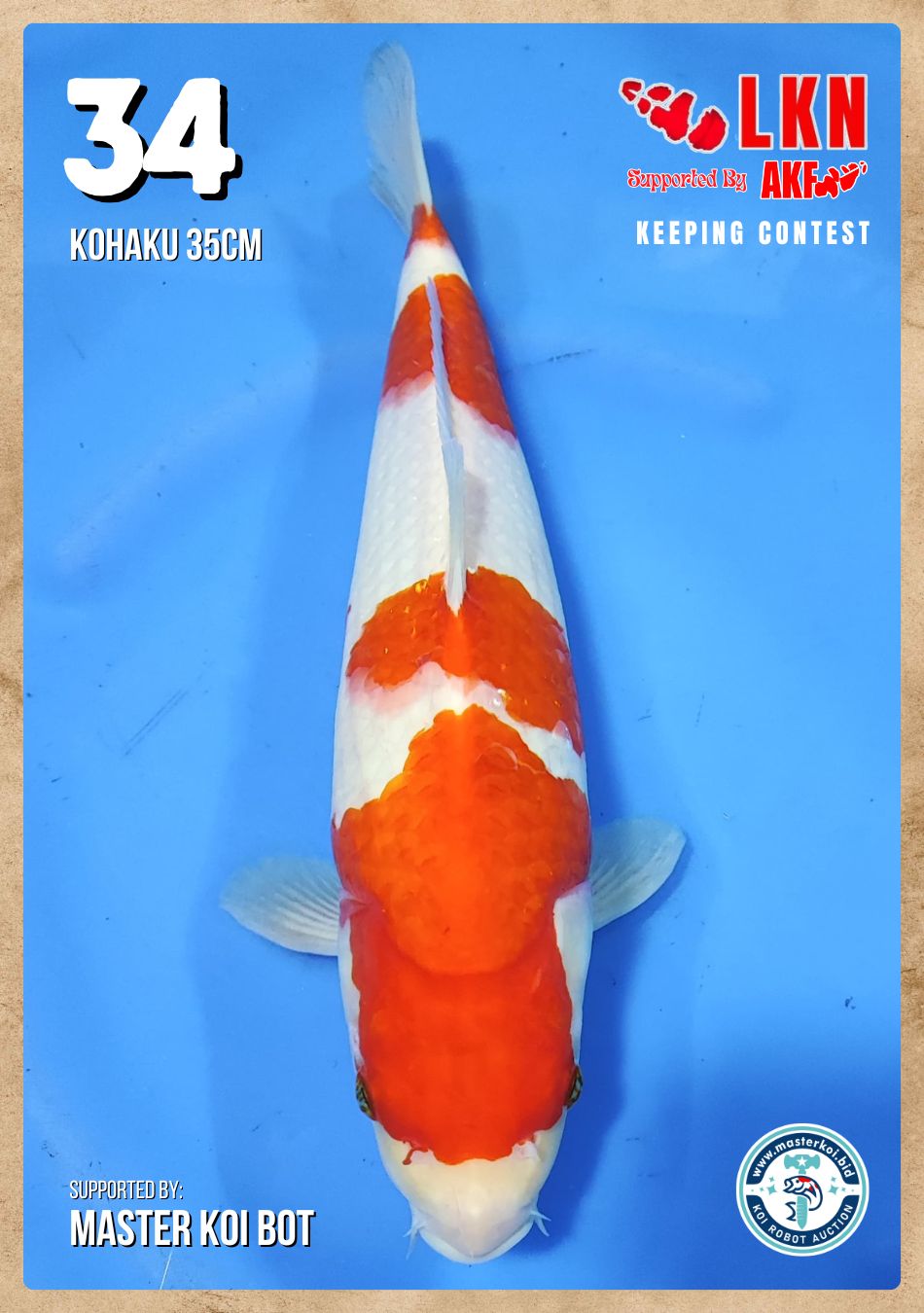 Lelang Koi Online, Jual Beli Ikan Koi, Pusat Jual Beli Koi, Info Lelang Koi Hari Ini, Platform Jual Beli Koi, Jual Beli Ikan Koi Online, Marketplace Ikan Koi, Jual Koi Terbaik, Tempat Beli Koi Berkualitas, Pasar Ikan Koi Online Terpercaya, Penjual Ikan Koi Terpercaya, Beli Koi Hias Online, Ikan Koi untuk Dijual, Koi Kualitas Terbaik, Toko Online Ikan Koi, Koi Hias Untuk Dijual, Jual Beli Ikan Koi Lokal, Koi Indonesia Online, Pusat Jual Beli Koi Terbesar