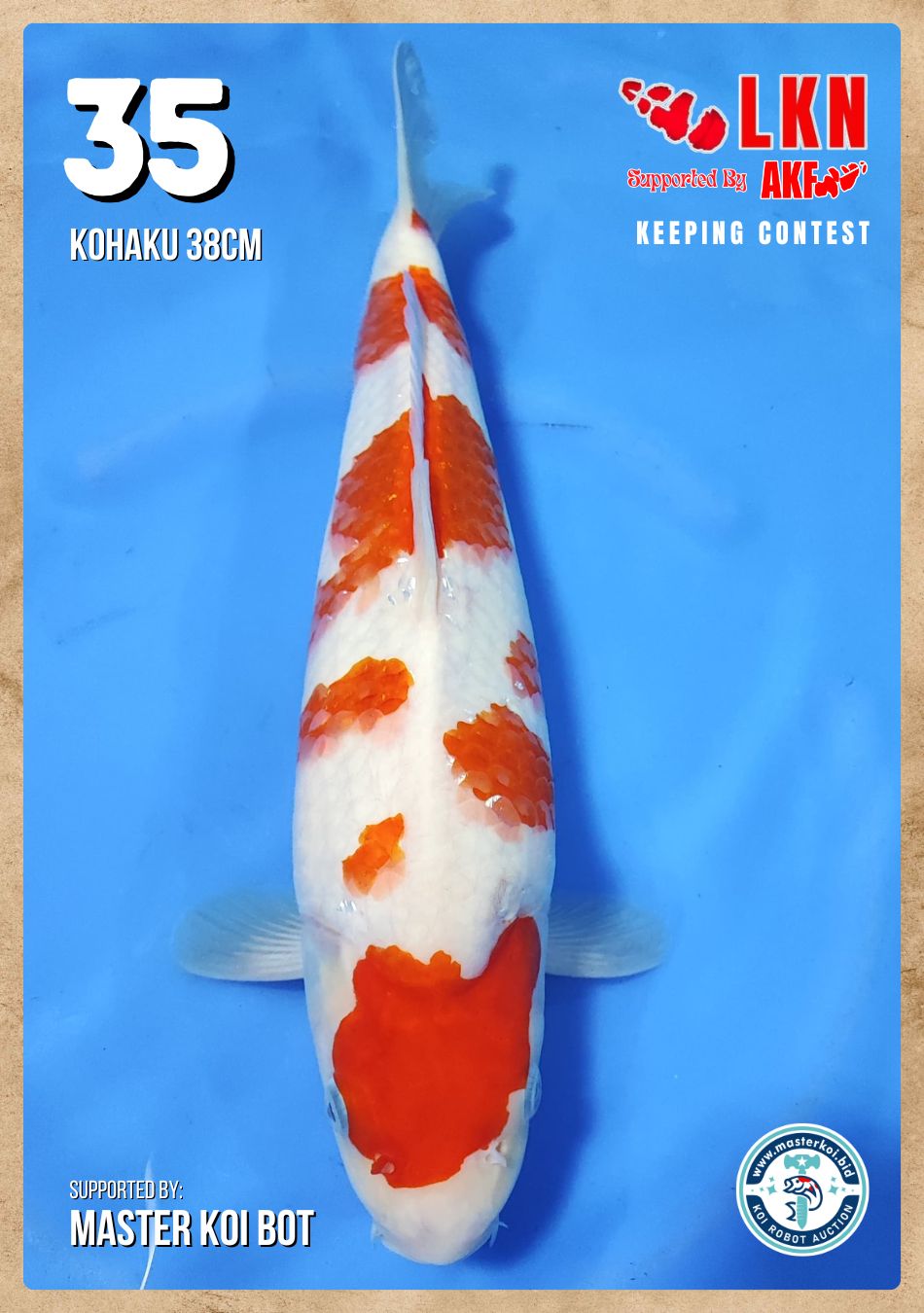 Lelang Koi Online, Jual Beli Ikan Koi, Pusat Jual Beli Koi, Info Lelang Koi Hari Ini, Platform Jual Beli Koi, Jual Beli Ikan Koi Online, Marketplace Ikan Koi, Jual Koi Terbaik, Tempat Beli Koi Berkualitas, Pasar Ikan Koi Online Terpercaya, Penjual Ikan Koi Terpercaya, Beli Koi Hias Online, Ikan Koi untuk Dijual, Koi Kualitas Terbaik, Toko Online Ikan Koi, Koi Hias Untuk Dijual, Jual Beli Ikan Koi Lokal, Koi Indonesia Online, Pusat Jual Beli Koi Terbesar