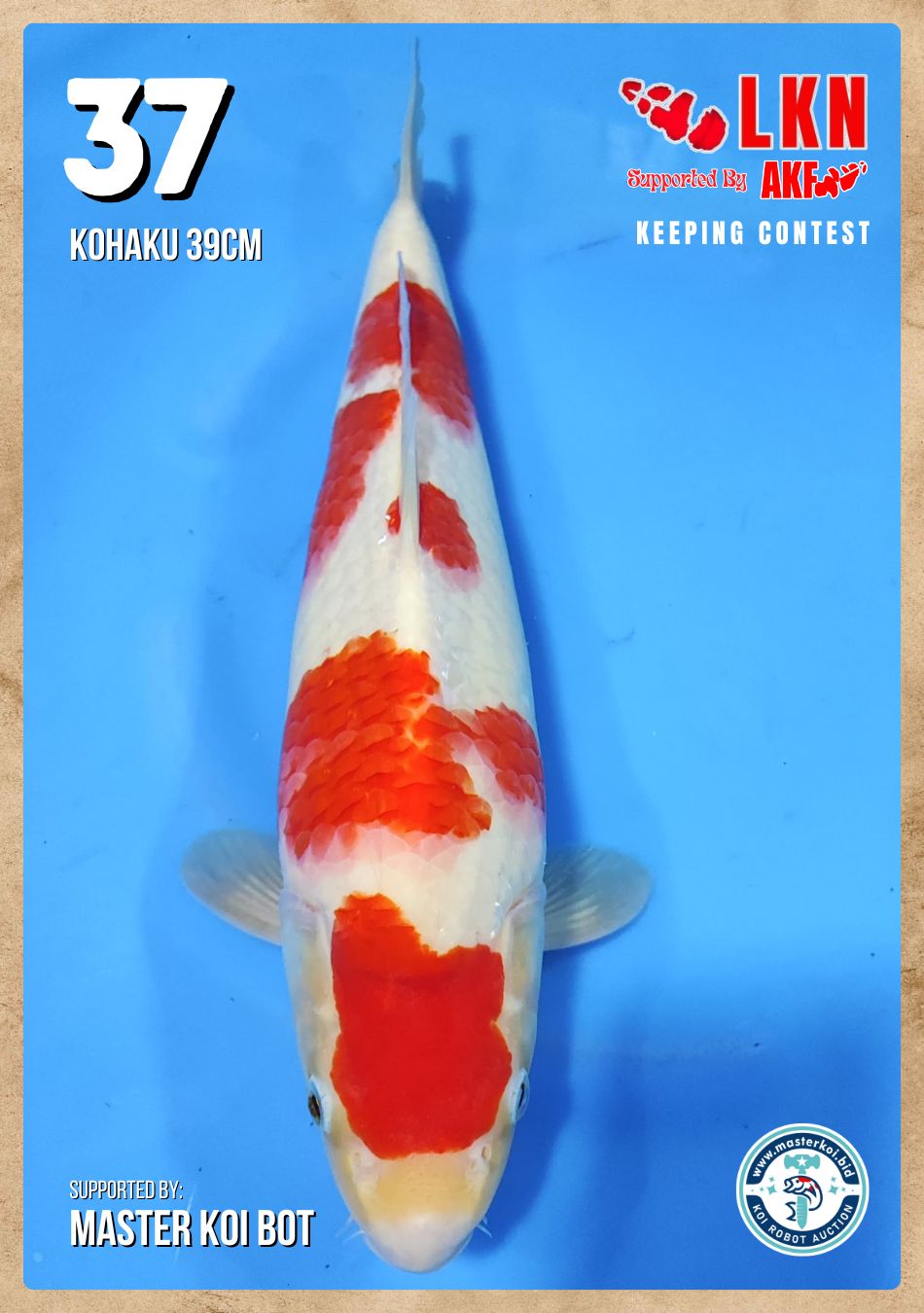 Lelang Koi Online, Jual Beli Ikan Koi, Pusat Jual Beli Koi, Info Lelang Koi Hari Ini, Platform Jual Beli Koi, Jual Beli Ikan Koi Online, Marketplace Ikan Koi, Jual Koi Terbaik, Tempat Beli Koi Berkualitas, Pasar Ikan Koi Online Terpercaya, Penjual Ikan Koi Terpercaya, Beli Koi Hias Online, Ikan Koi untuk Dijual, Koi Kualitas Terbaik, Toko Online Ikan Koi, Koi Hias Untuk Dijual, Jual Beli Ikan Koi Lokal, Koi Indonesia Online, Pusat Jual Beli Koi Terbesar