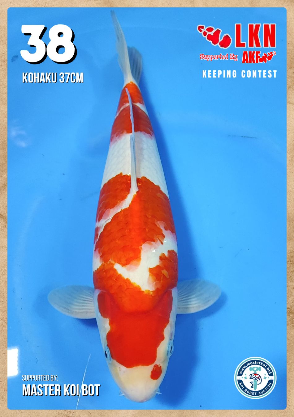 Lelang Koi Online, Jual Beli Ikan Koi, Pusat Jual Beli Koi, Info Lelang Koi Hari Ini, Platform Jual Beli Koi, Jual Beli Ikan Koi Online, Marketplace Ikan Koi, Jual Koi Terbaik, Tempat Beli Koi Berkualitas, Pasar Ikan Koi Online Terpercaya, Penjual Ikan Koi Terpercaya, Beli Koi Hias Online, Ikan Koi untuk Dijual, Koi Kualitas Terbaik, Toko Online Ikan Koi, Koi Hias Untuk Dijual, Jual Beli Ikan Koi Lokal, Koi Indonesia Online, Pusat Jual Beli Koi Terbesar