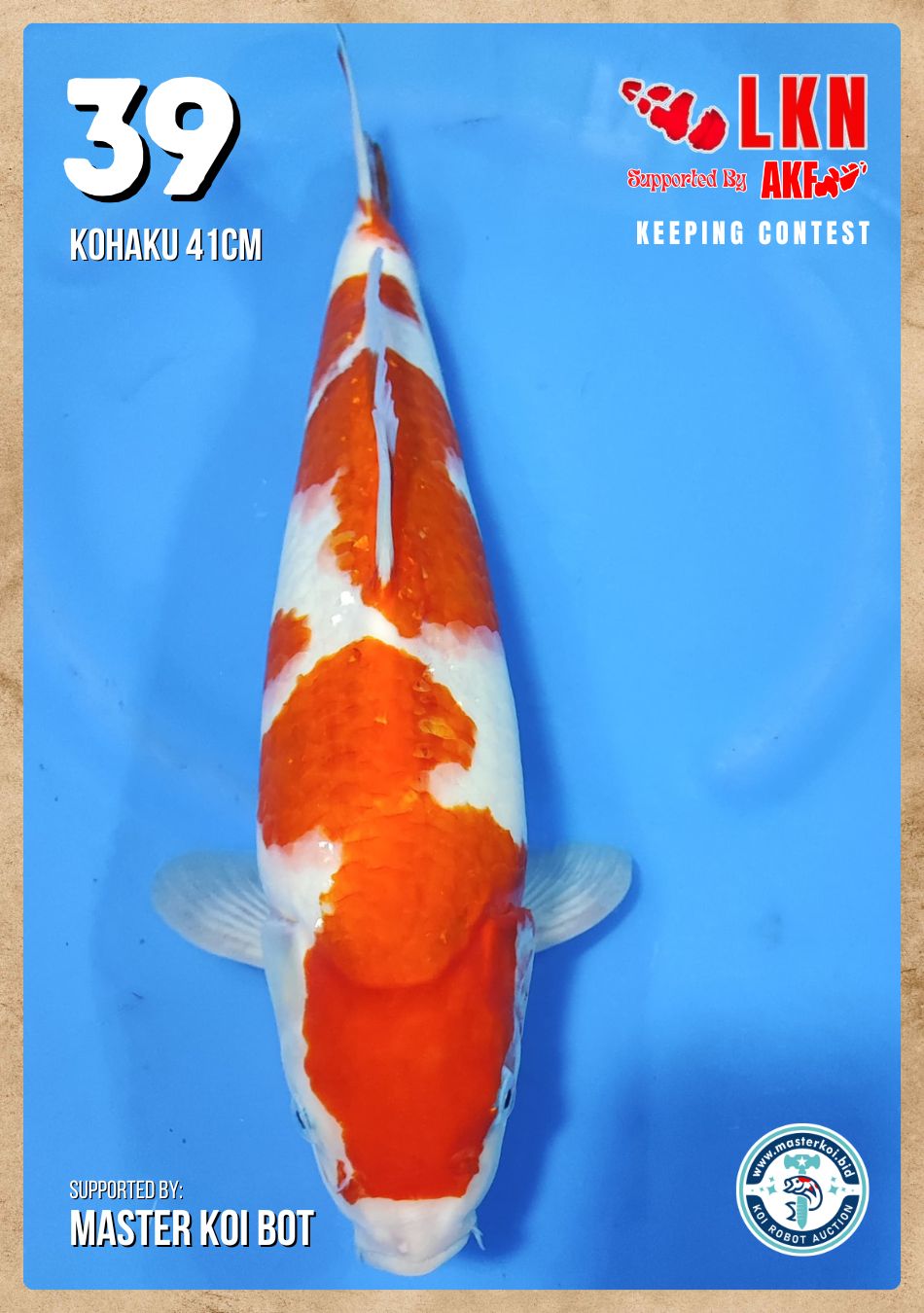 Lelang Koi Online, Jual Beli Ikan Koi, Pusat Jual Beli Koi, Info Lelang Koi Hari Ini, Platform Jual Beli Koi, Jual Beli Ikan Koi Online, Marketplace Ikan Koi, Jual Koi Terbaik, Tempat Beli Koi Berkualitas, Pasar Ikan Koi Online Terpercaya, Penjual Ikan Koi Terpercaya, Beli Koi Hias Online, Ikan Koi untuk Dijual, Koi Kualitas Terbaik, Toko Online Ikan Koi, Koi Hias Untuk Dijual, Jual Beli Ikan Koi Lokal, Koi Indonesia Online, Pusat Jual Beli Koi Terbesar