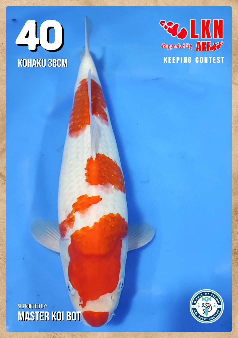 Lelang Koi Online, Jual Beli Ikan Koi, Pusat Jual Beli Koi, Info Lelang Koi Hari Ini, Platform Jual Beli Koi, Jual Beli Ikan Koi Online, Marketplace Ikan Koi, Jual Koi Terbaik, Tempat Beli Koi Berkualitas, Pasar Ikan Koi Online Terpercaya, Penjual Ikan Koi Terpercaya, Beli Koi Hias Online, Ikan Koi untuk Dijual, Koi Kualitas Terbaik, Toko Online Ikan Koi, Koi Hias Untuk Dijual, Jual Beli Ikan Koi Lokal, Koi Indonesia Online, Pusat Jual Beli Koi Terbesar