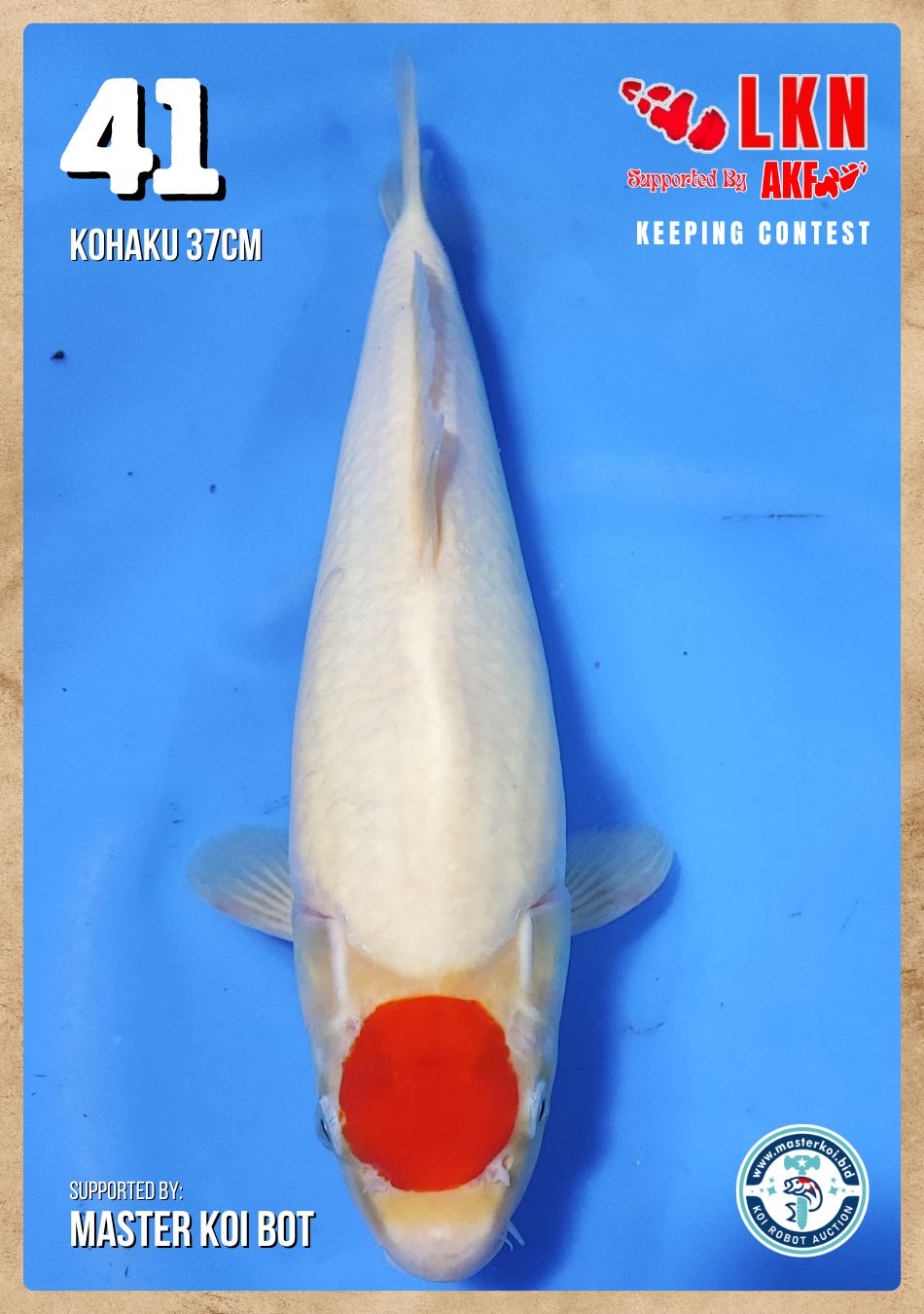 Lelang Koi Online, Jual Beli Ikan Koi, Pusat Jual Beli Koi, Info Lelang Koi Hari Ini, Platform Jual Beli Koi, Jual Beli Ikan Koi Online, Marketplace Ikan Koi, Jual Koi Terbaik, Tempat Beli Koi Berkualitas, Pasar Ikan Koi Online Terpercaya, Penjual Ikan Koi Terpercaya, Beli Koi Hias Online, Ikan Koi untuk Dijual, Koi Kualitas Terbaik, Toko Online Ikan Koi, Koi Hias Untuk Dijual, Jual Beli Ikan Koi Lokal, Koi Indonesia Online, Pusat Jual Beli Koi Terbesar