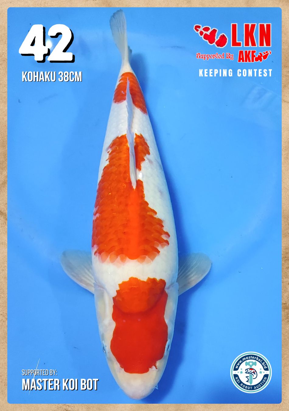 Lelang Koi Online, Jual Beli Ikan Koi, Pusat Jual Beli Koi, Info Lelang Koi Hari Ini, Platform Jual Beli Koi, Jual Beli Ikan Koi Online, Marketplace Ikan Koi, Jual Koi Terbaik, Tempat Beli Koi Berkualitas, Pasar Ikan Koi Online Terpercaya, Penjual Ikan Koi Terpercaya, Beli Koi Hias Online, Ikan Koi untuk Dijual, Koi Kualitas Terbaik, Toko Online Ikan Koi, Koi Hias Untuk Dijual, Jual Beli Ikan Koi Lokal, Koi Indonesia Online, Pusat Jual Beli Koi Terbesar