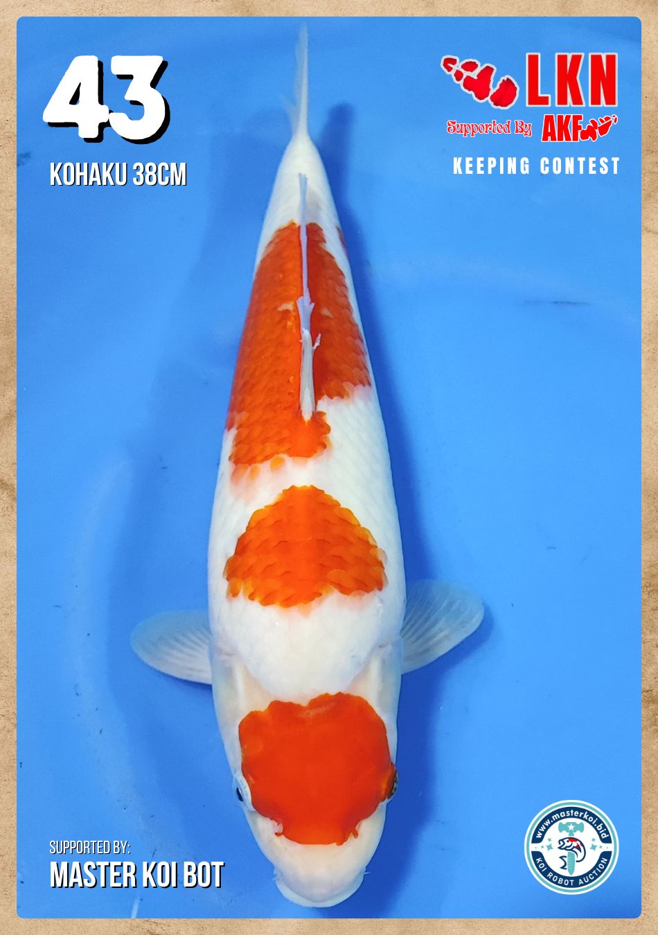 Lelang Koi Online, Jual Beli Ikan Koi, Pusat Jual Beli Koi, Info Lelang Koi Hari Ini, Platform Jual Beli Koi, Jual Beli Ikan Koi Online, Marketplace Ikan Koi, Jual Koi Terbaik, Tempat Beli Koi Berkualitas, Pasar Ikan Koi Online Terpercaya, Penjual Ikan Koi Terpercaya, Beli Koi Hias Online, Ikan Koi untuk Dijual, Koi Kualitas Terbaik, Toko Online Ikan Koi, Koi Hias Untuk Dijual, Jual Beli Ikan Koi Lokal, Koi Indonesia Online, Pusat Jual Beli Koi Terbesar